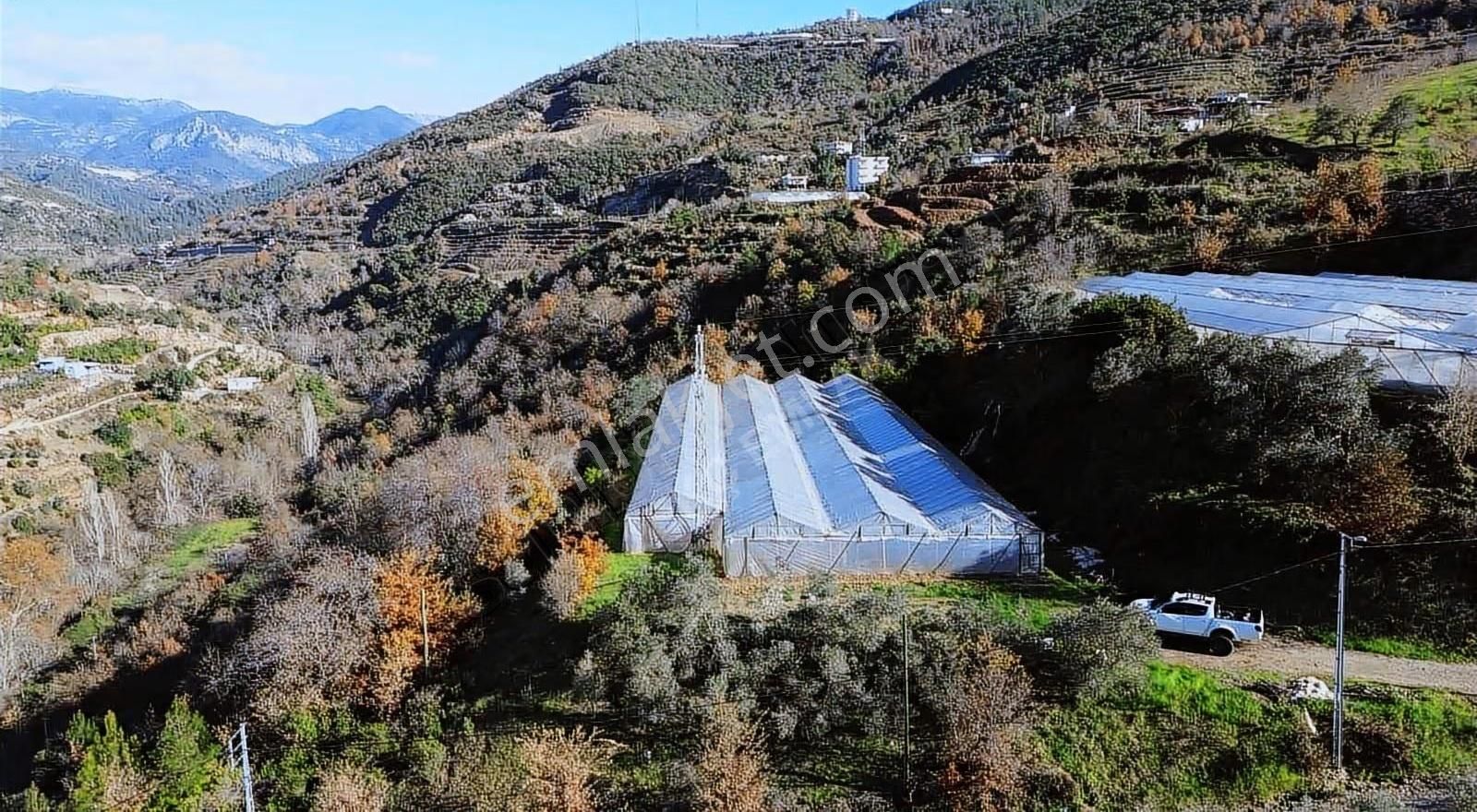 Alanya Soğukpınar Mah Satılık 2900 M2 Arsamız Satılıktır - Görsel 5