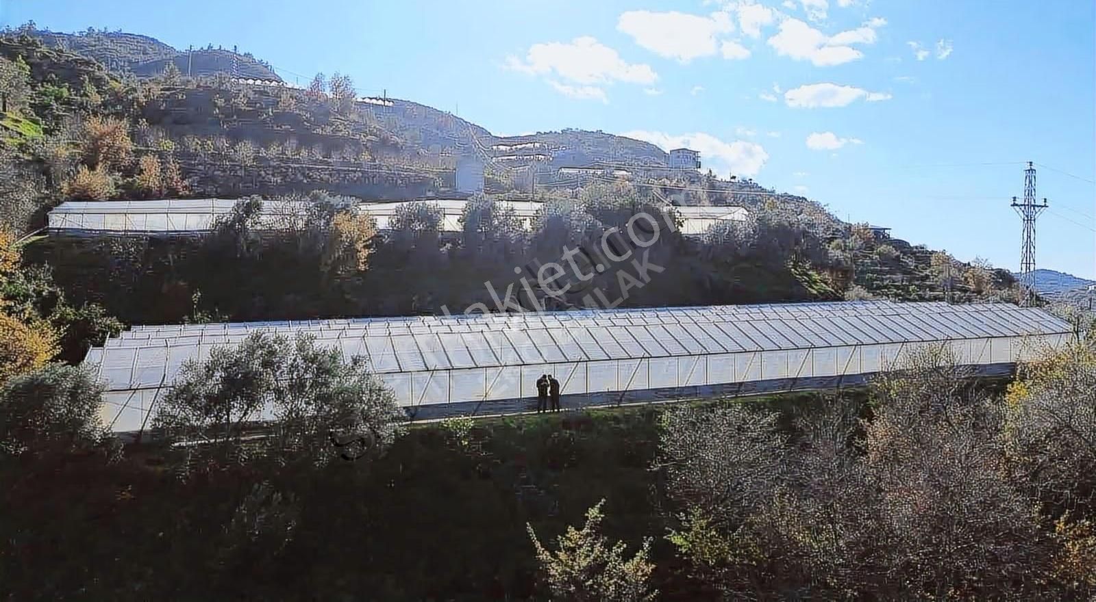 Alanya Soğukpınar Mah Satılık 2900 M2 Arsamız Satılıktır - Görsel 3