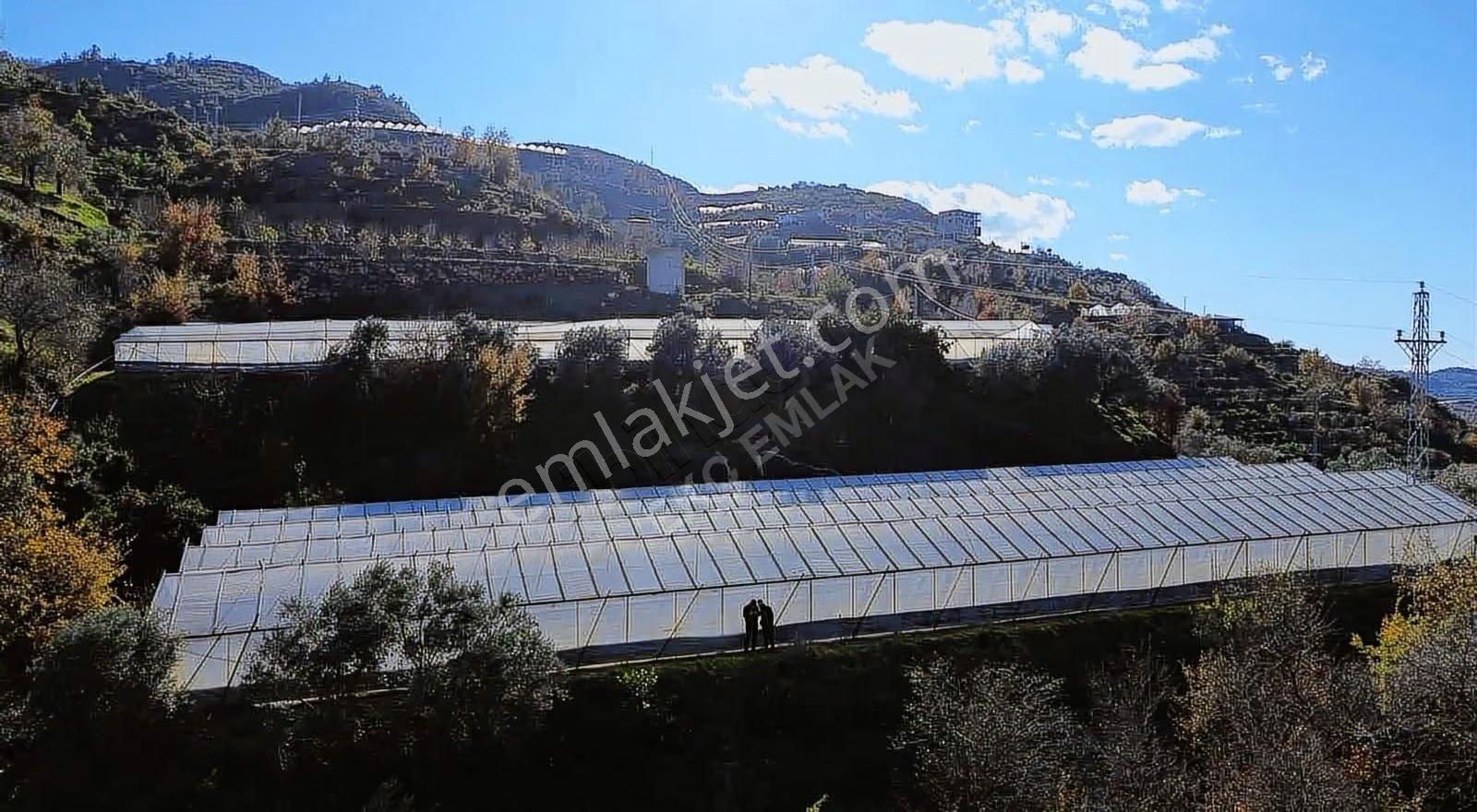 Alanya Soğukpınar Mah Satılık 2900 M2 Arsamız Satılıktır - Görsel 10