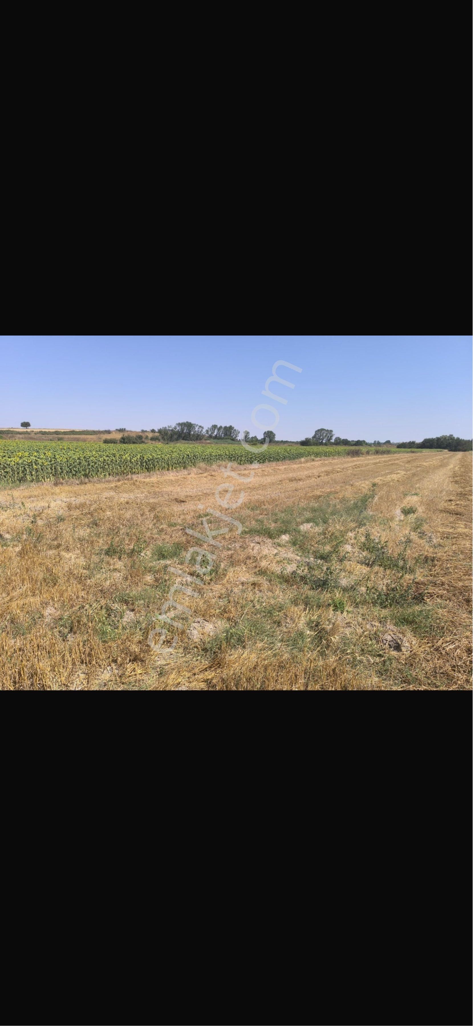 Kayabeyli Hızlı Tren Durağı Yanı Acil Satılık Kelepir 4500m2 Tek Tapu Arazi! - Görsel 3