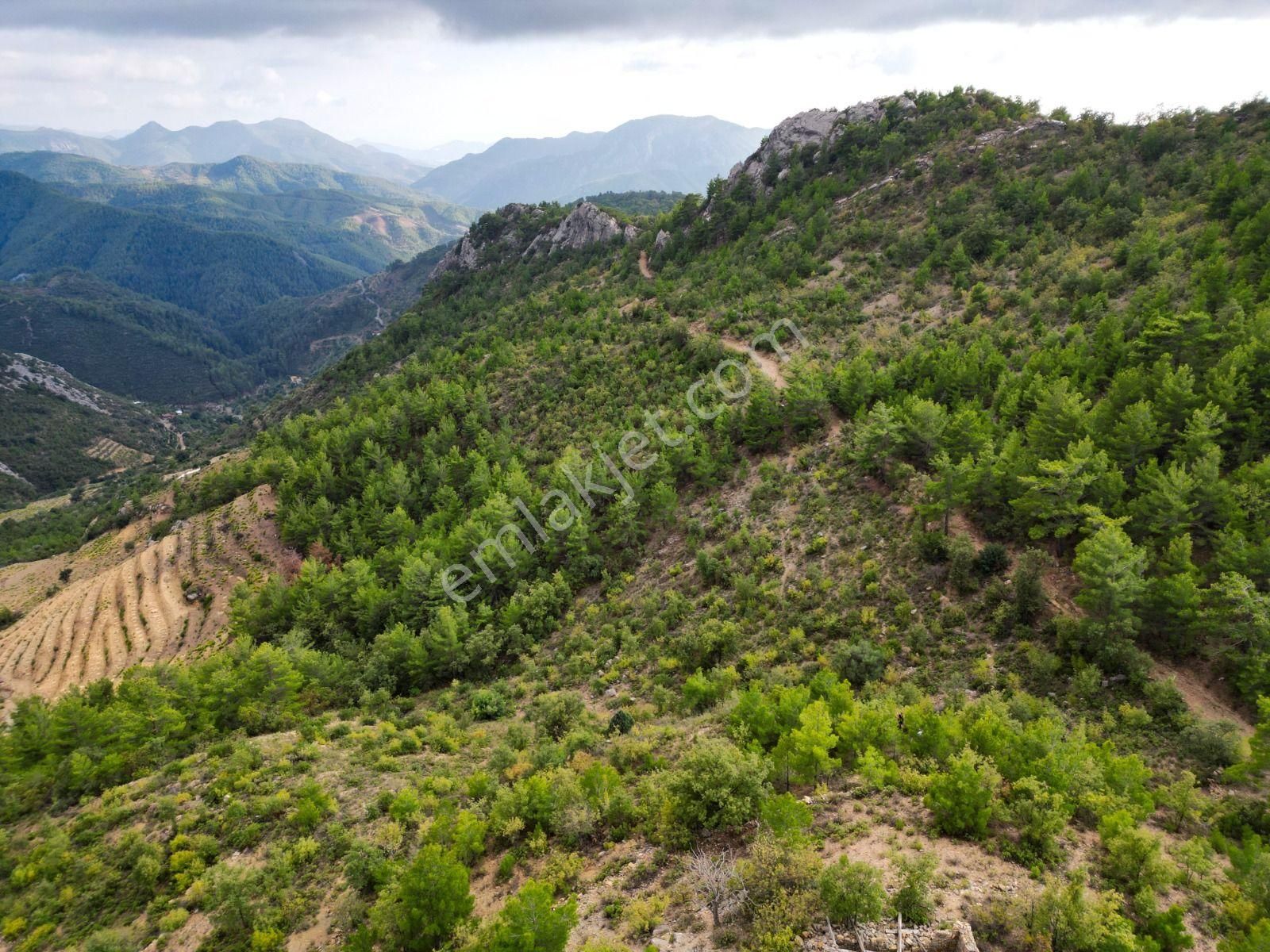 Demirtaş Çamlıcada Emsalsiz Yatırım Fırsatı | 19.683 M² Satılık - Görsel 2