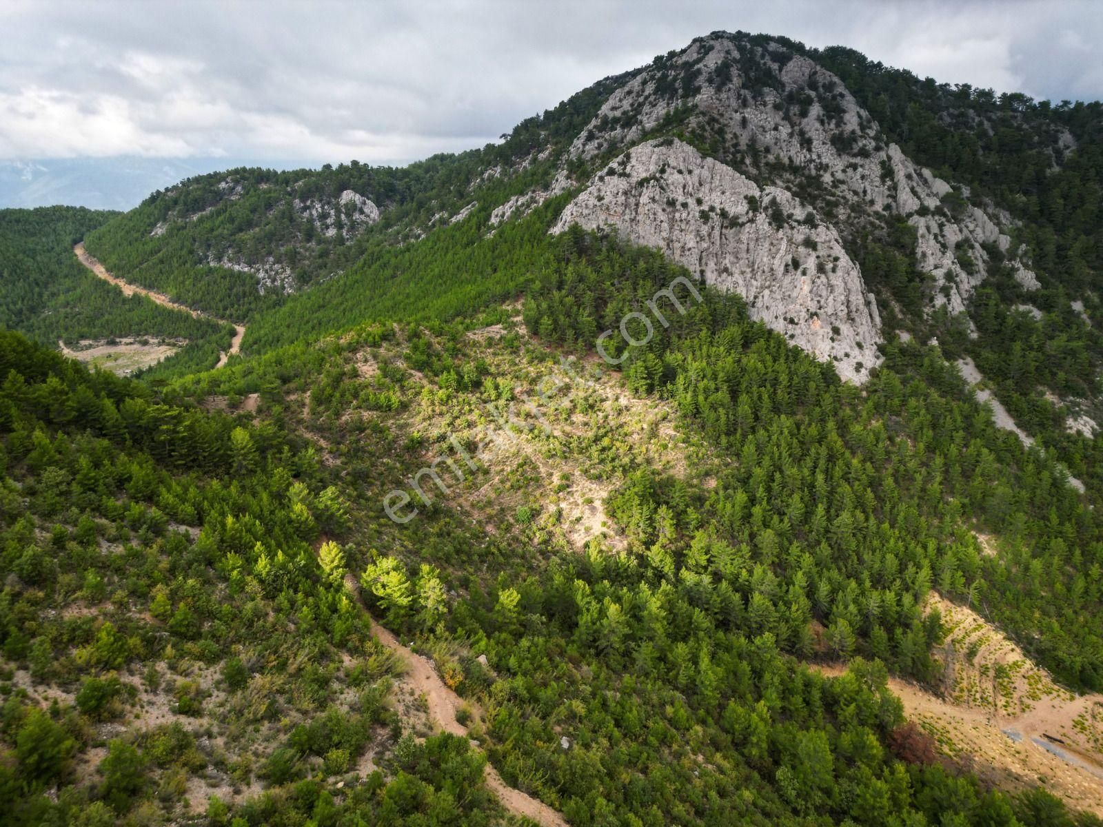 Demirtaş Çamlıcada Emsalsiz Yatırım Fırsatı | 19.683 M² Satılık - Görsel 5