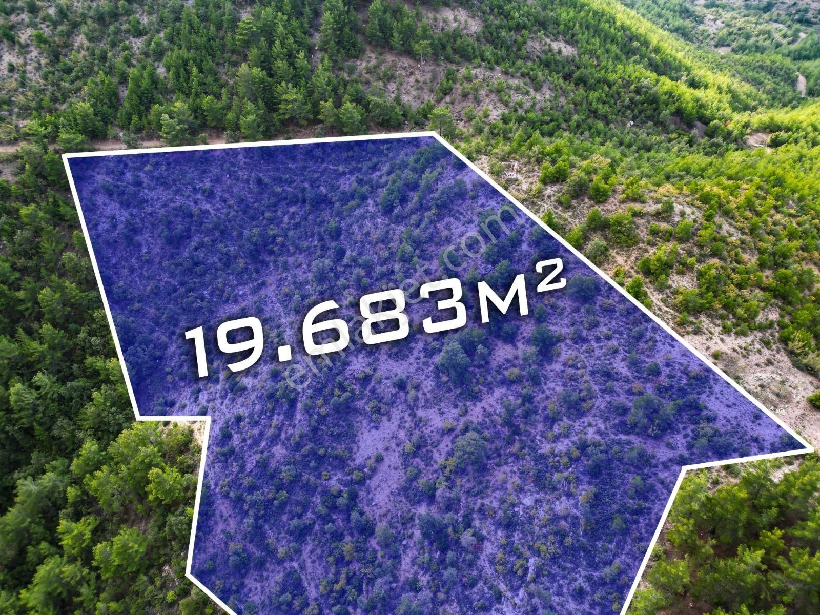 Demirtaş Çamlıcada Emsalsiz Yatırım Fırsatı | 19.683 M² Satılık - Görsel 4