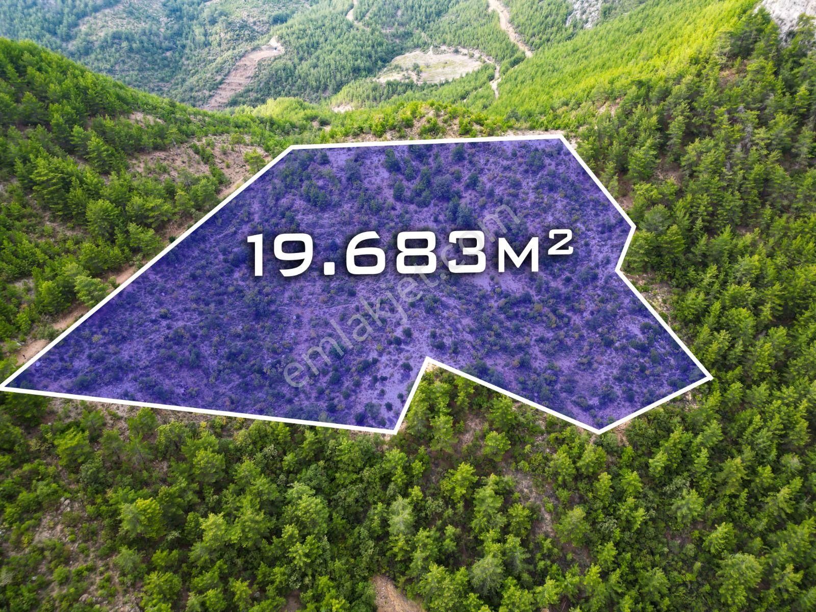 Demirtaş Çamlıcada Emsalsiz Yatırım Fırsatı | 19.683 M² Satılık - Görsel 3