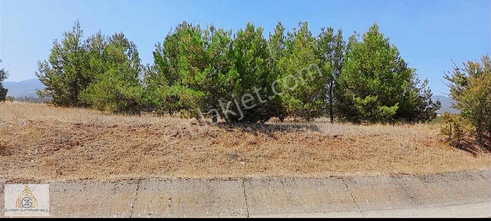 4421m² Düz Verimli Projeye Uygun