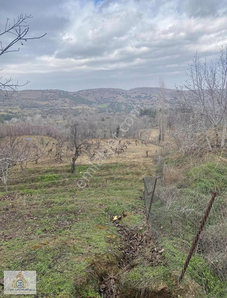 Yeşilyayla Da Doğa İçinde 1998m² Satılık Bahçe - Görsel 9