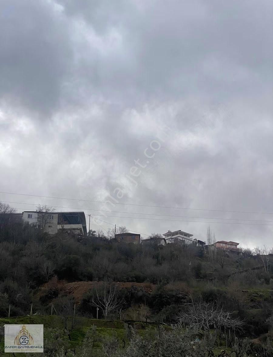 Yeşilyayla Da Doğa İçinde 1998m² Satılık Bahçe