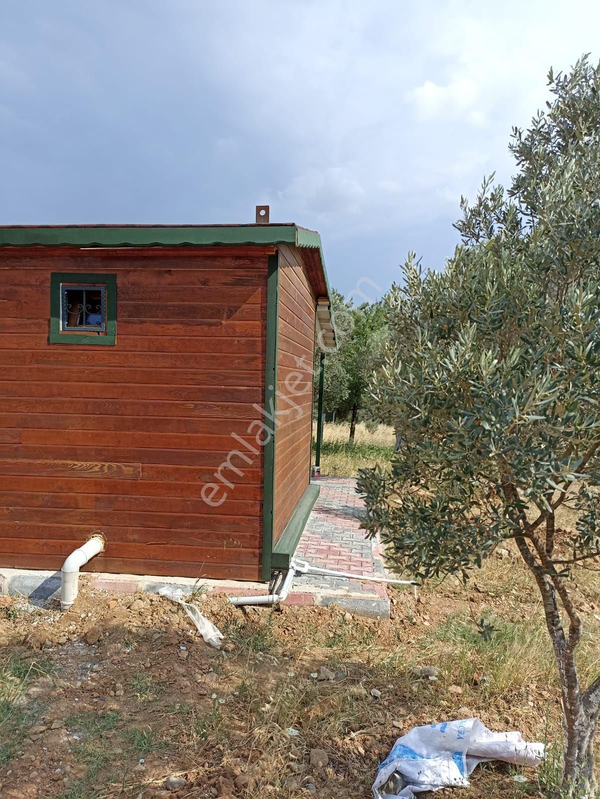 Satılık 1 Dönüm Hisseli Elektrik Ve Su Aktif - Görsel 6