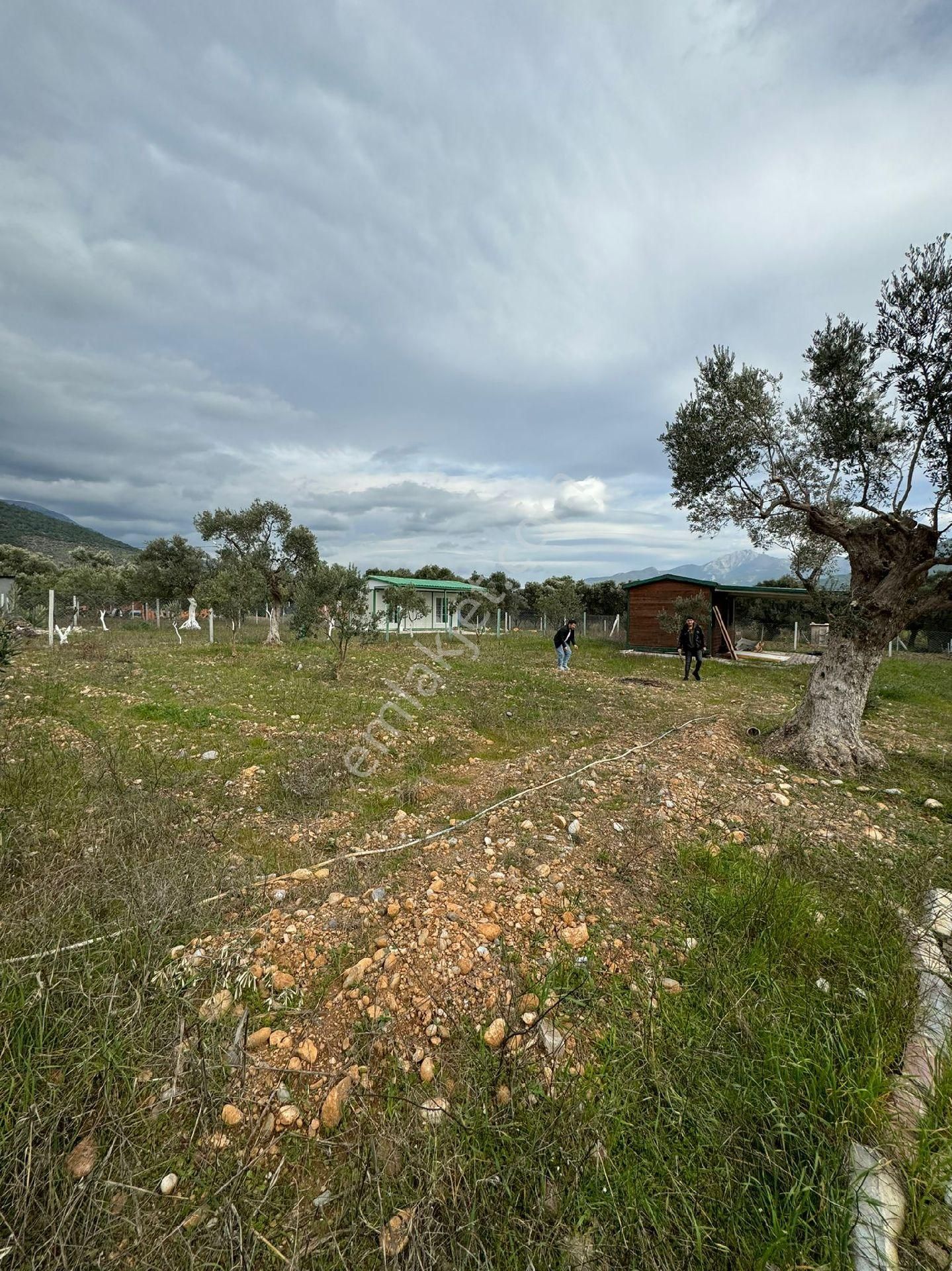 Satılık 1 Dönüm Hisseli Elektrik Ve Su Aktif - Görsel 34