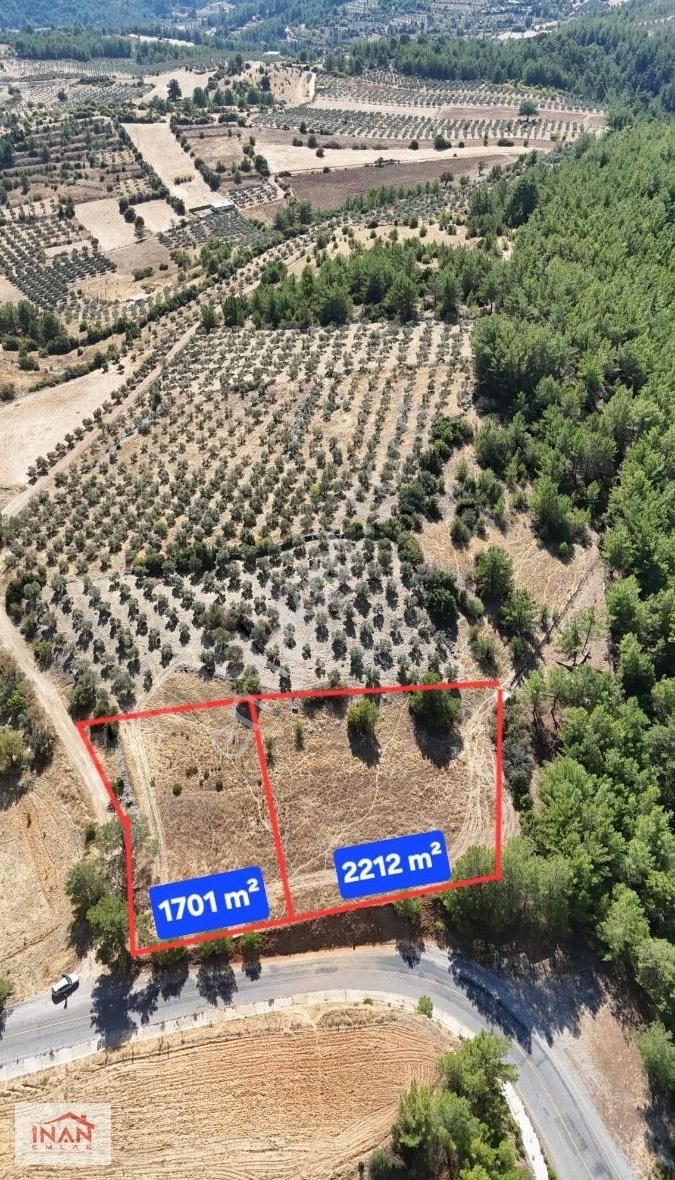 Asfalt Cepheli | 3.913 M² Yan Yana Tarla | Menteşe Algı - Görsel 3