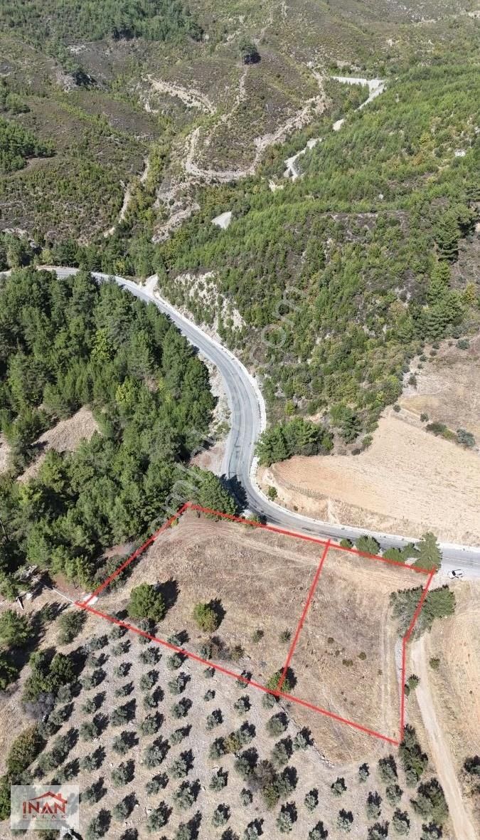 Asfalt Cepheli | 3.913 M² Yan Yana Tarla | Menteşe Algı - Görsel 2