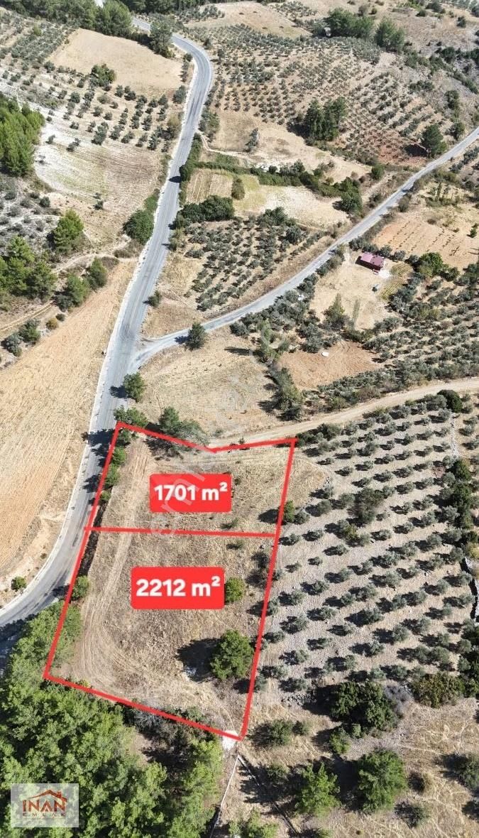 Asfalt Cepheli | 3.913 M² Yan Yana Tarla | Menteşe Algı