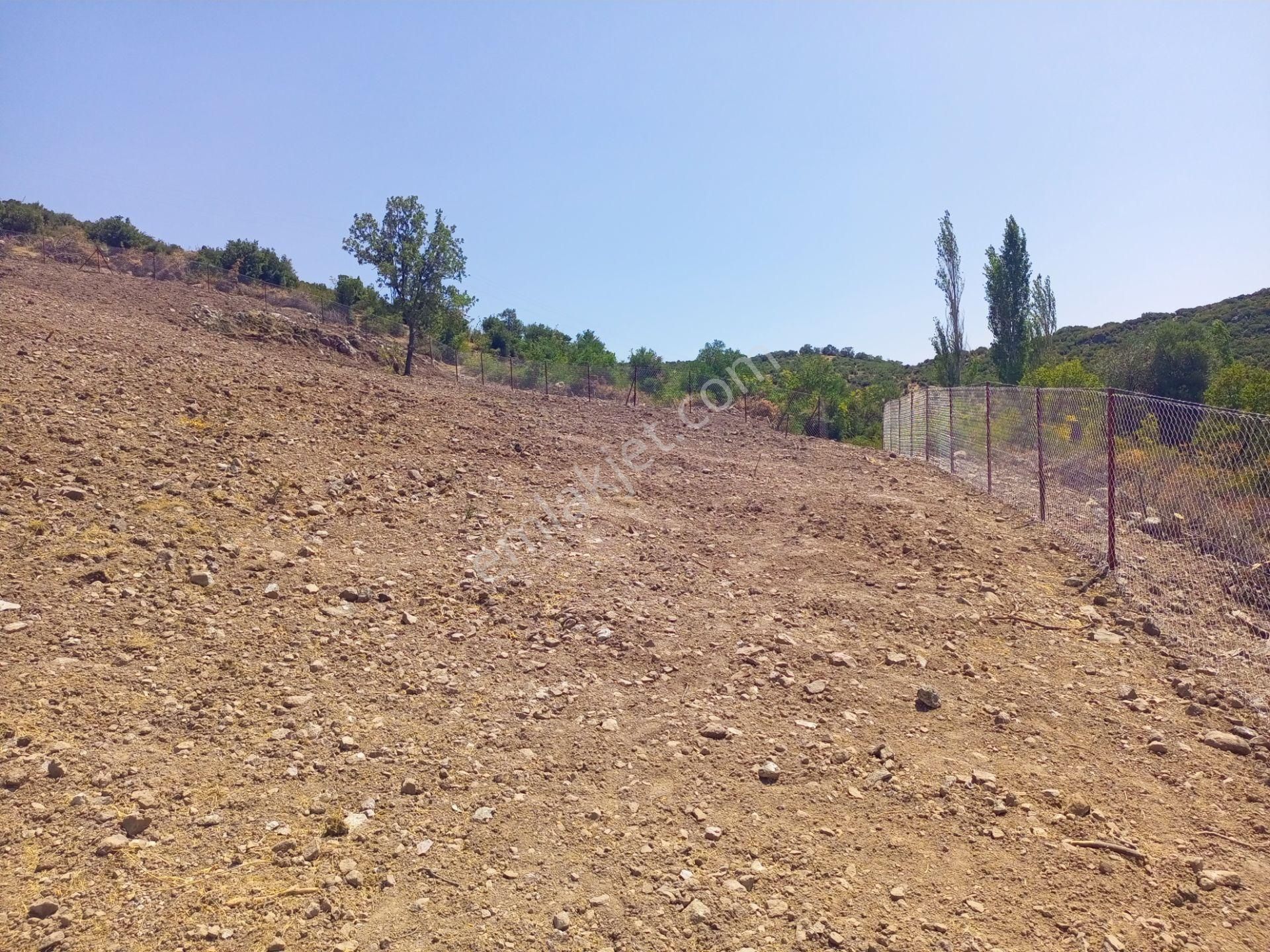 Bergama Durmuşlar'da Göl Manzaralı Müstakil Parsel Tek Tapu 7620m2 Arazimiz Satılıktır - Görsel 9