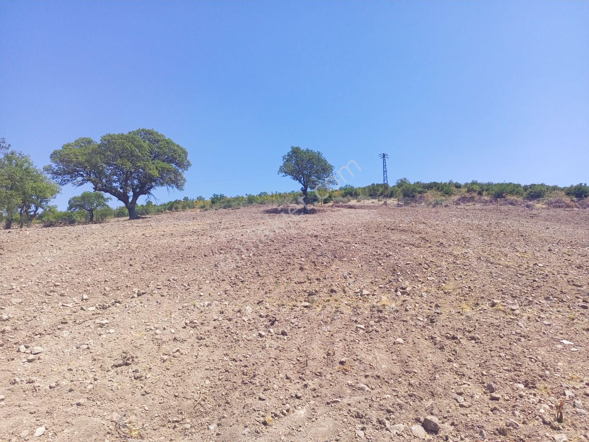 Bergama Durmuşlar'da Göl Manzaralı Müstakil Parsel Tek Tapu 7620m2 Arazimiz Satılıktır - Görsel 5