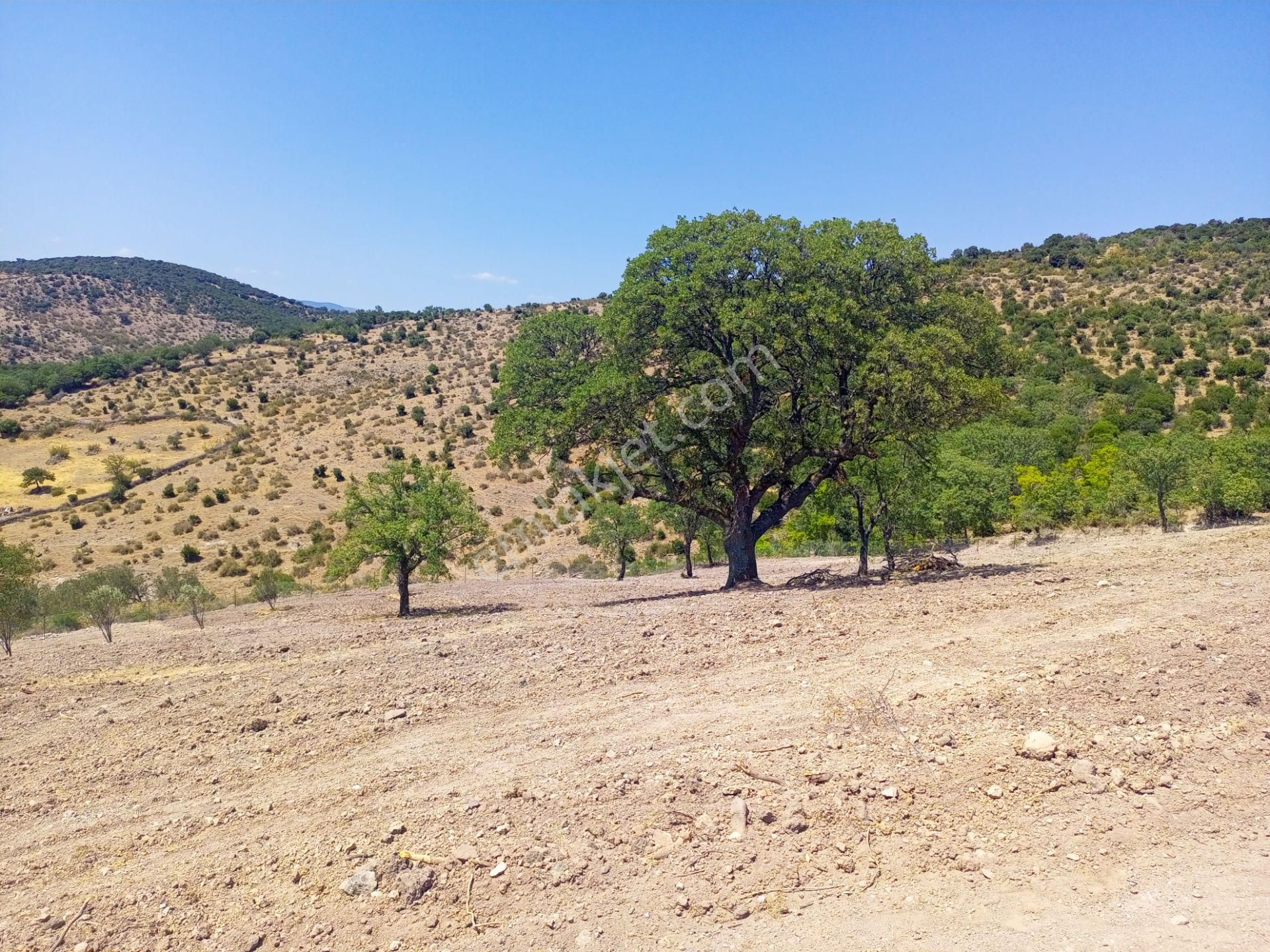 Bergama Durmuşlar'da Göl Manzaralı Müstakil Parsel Tek Tapu 7620m2 Arazimiz Satılıktır - Görsel 32
