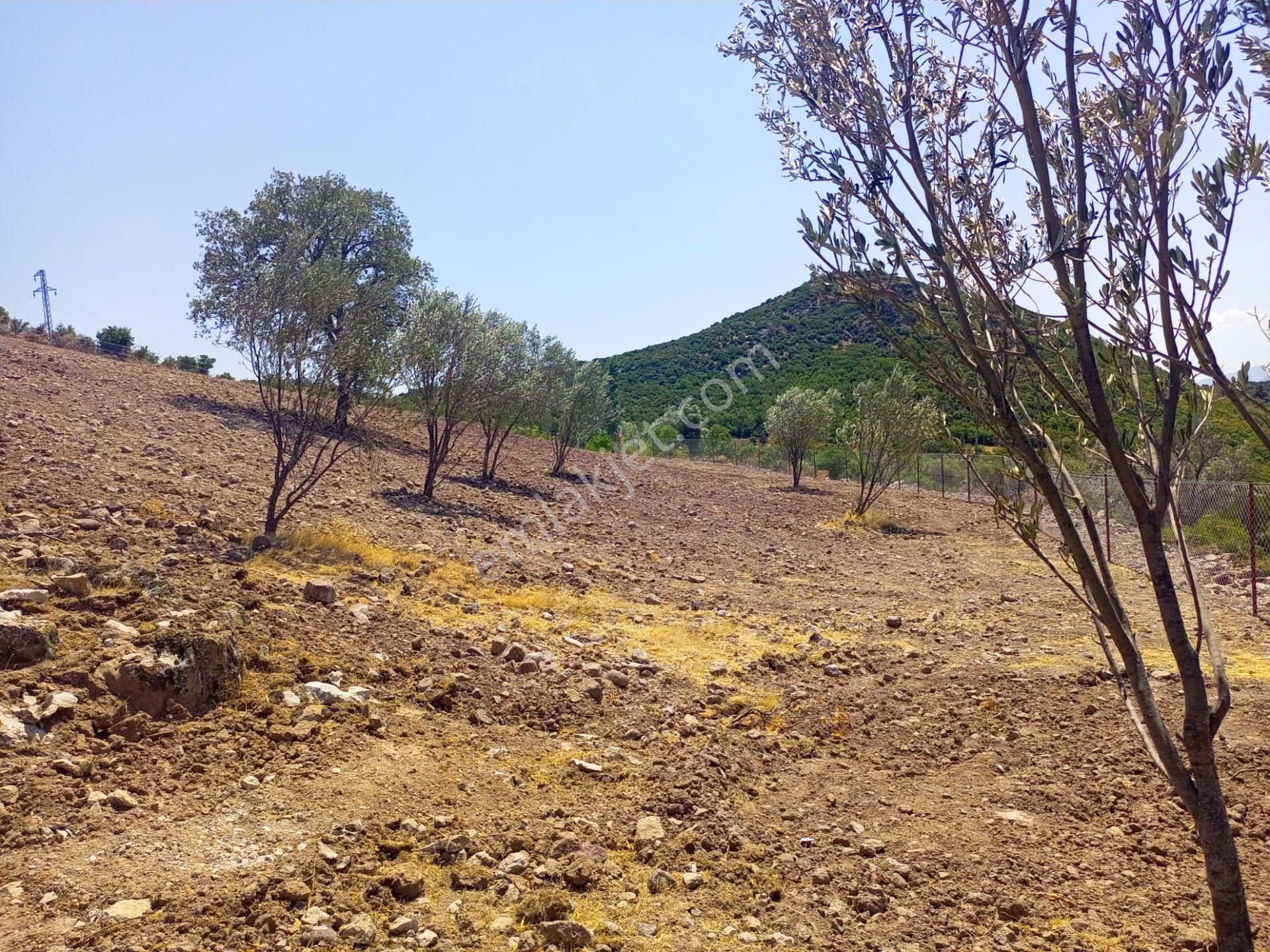 Bergama Durmuşlar'da Göl Manzaralı Müstakil Parsel Tek Tapu 7620m2 Arazimiz Satılıktır - Görsel 15