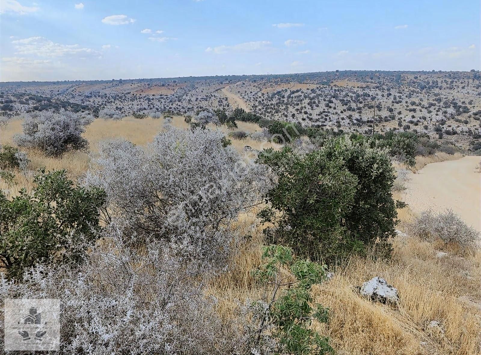 Kabasakızda Yatırıma Uygun Satılık Arazi - Görsel 14