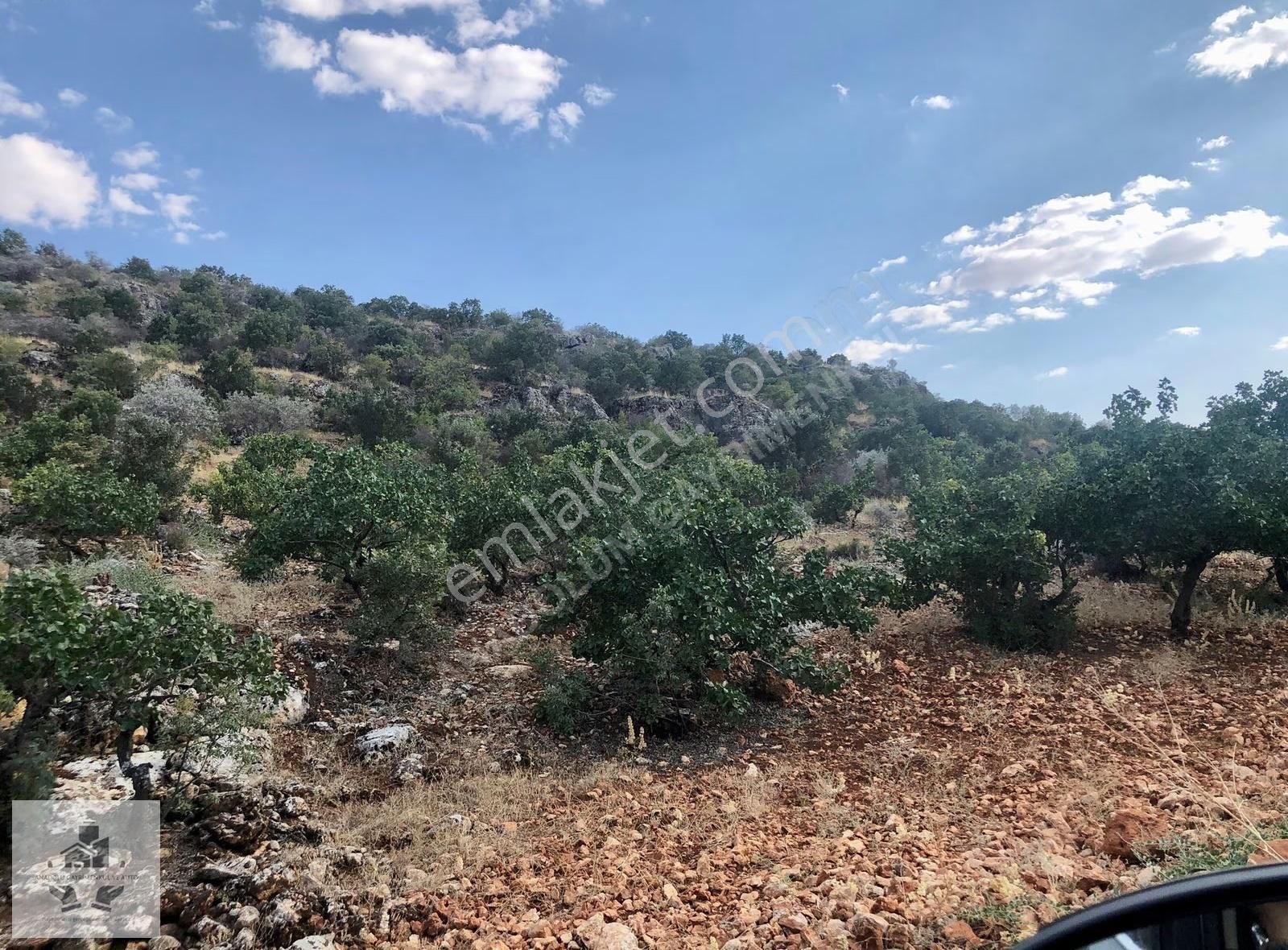 Kabasakızda Yatırıma Uygun Satılık Arazi - Görsel 6