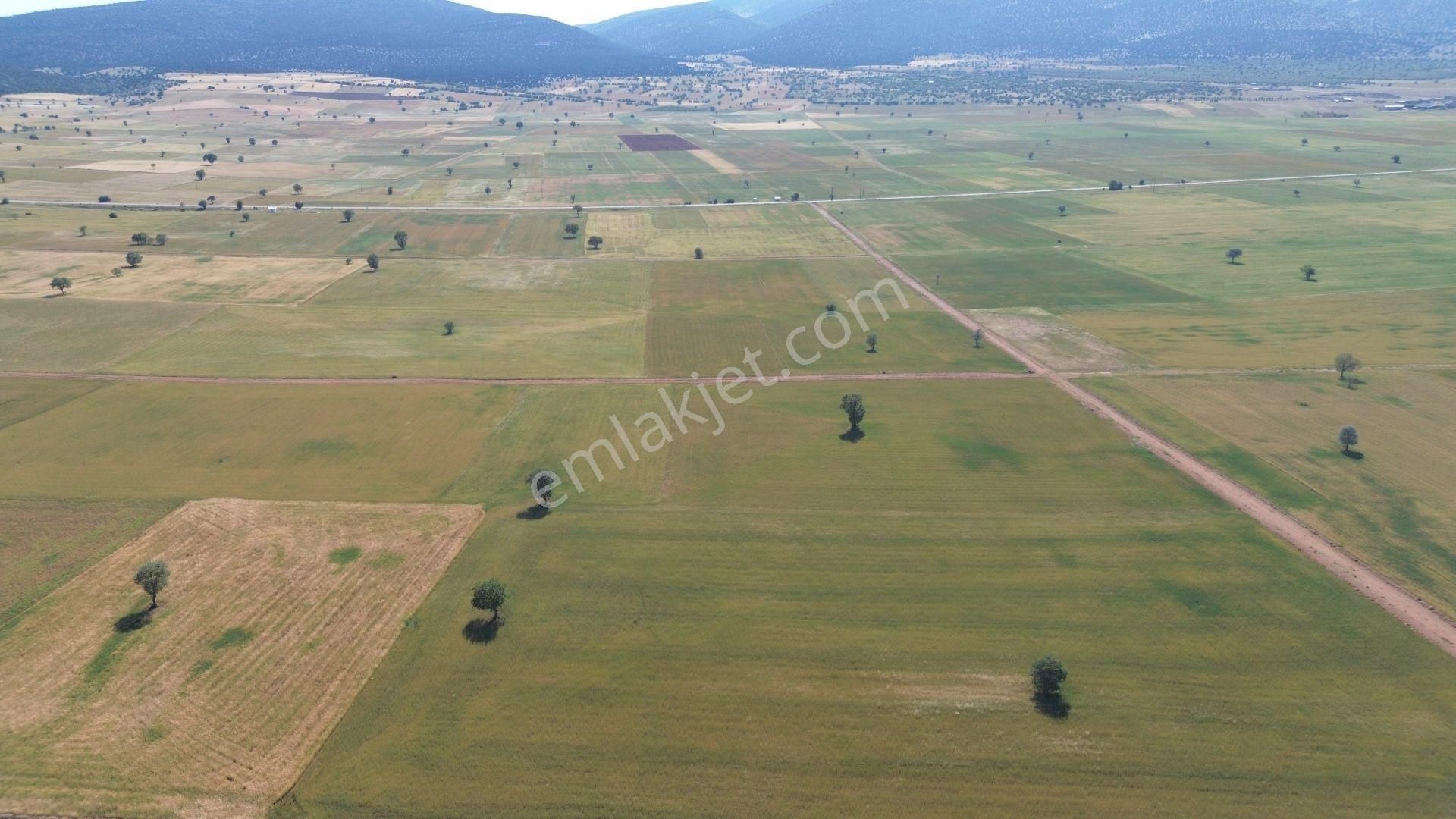 Konya Akörende 6.438 M² Verimli Konumu Güzel Tarla - Görsel 7