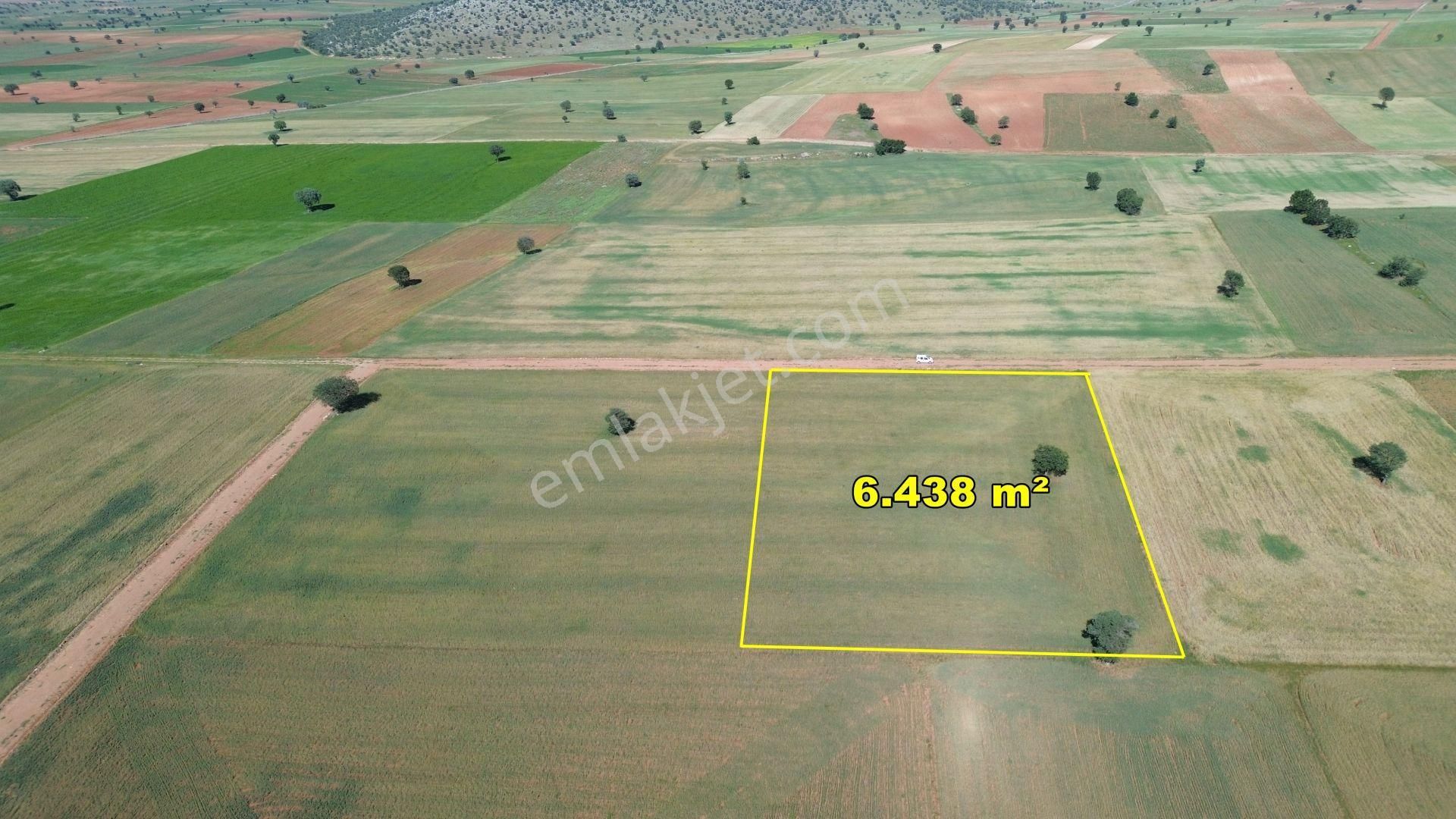 Konya Akörende 6.438 M² Verimli Konumu Güzel Tarla - Görsel 9
