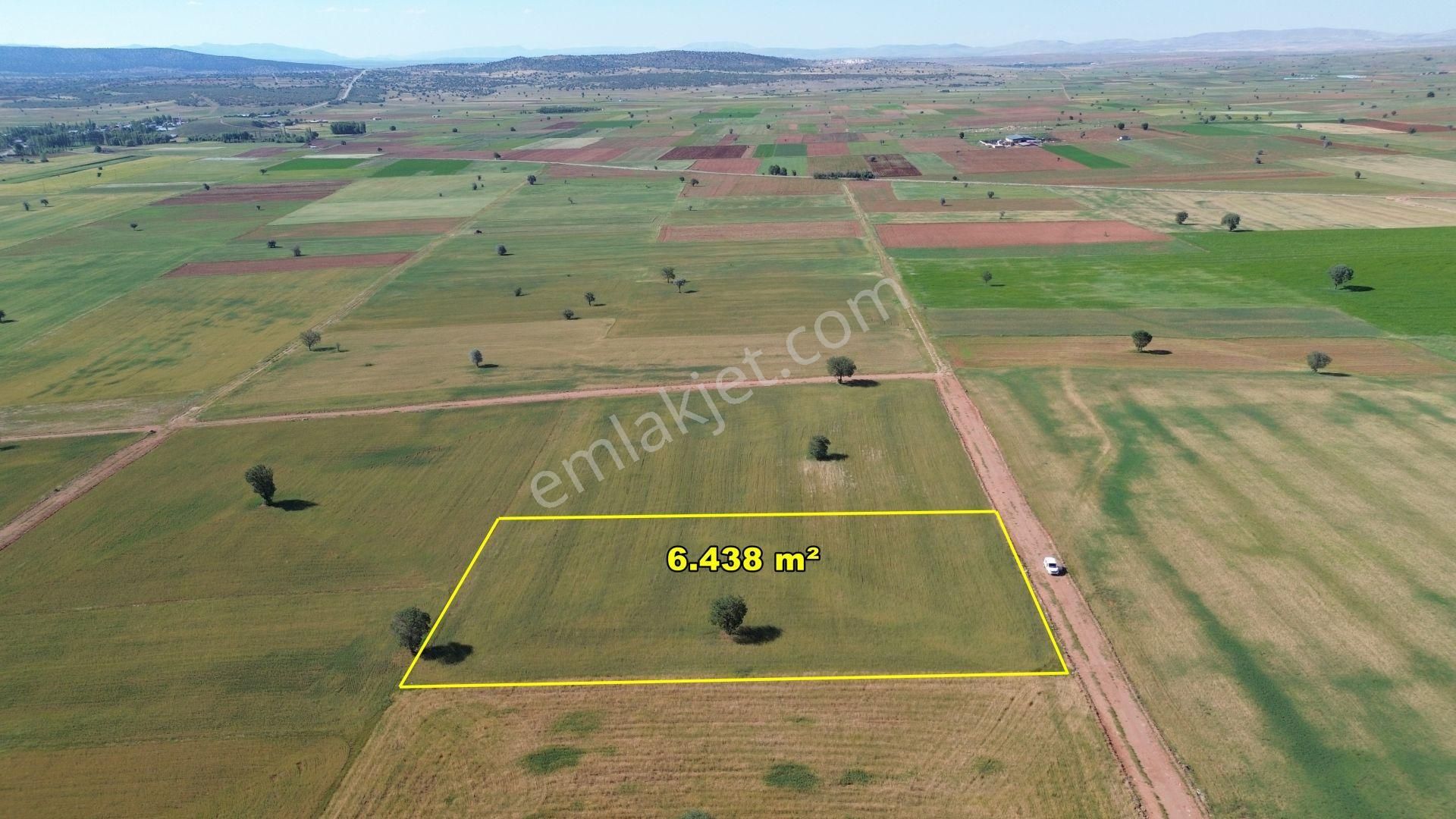 Konya Akörende 6.438 M² Verimli Konumu Güzel Tarla - Görsel 4