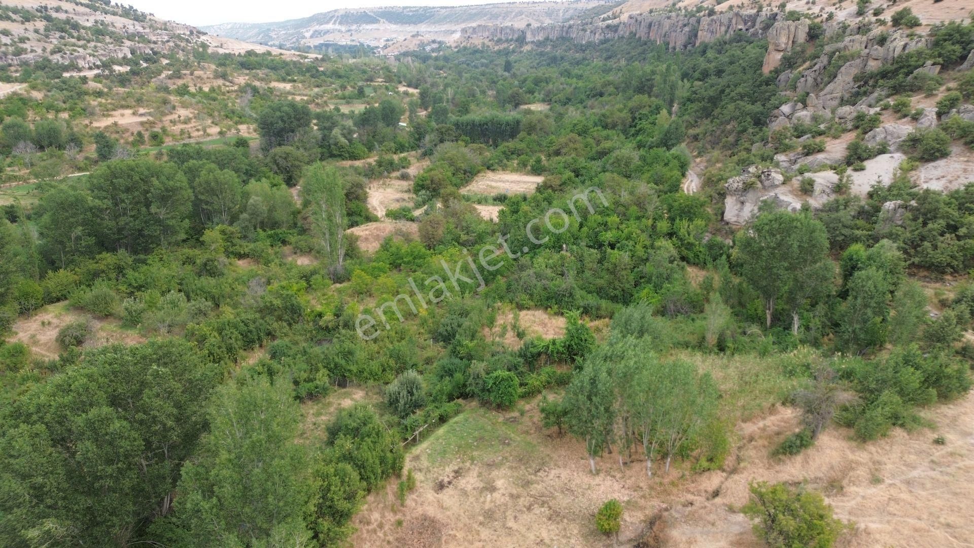 Meram Güneydere De 941 M2 Müstakil Tapulu Bahçelik - Görsel 2