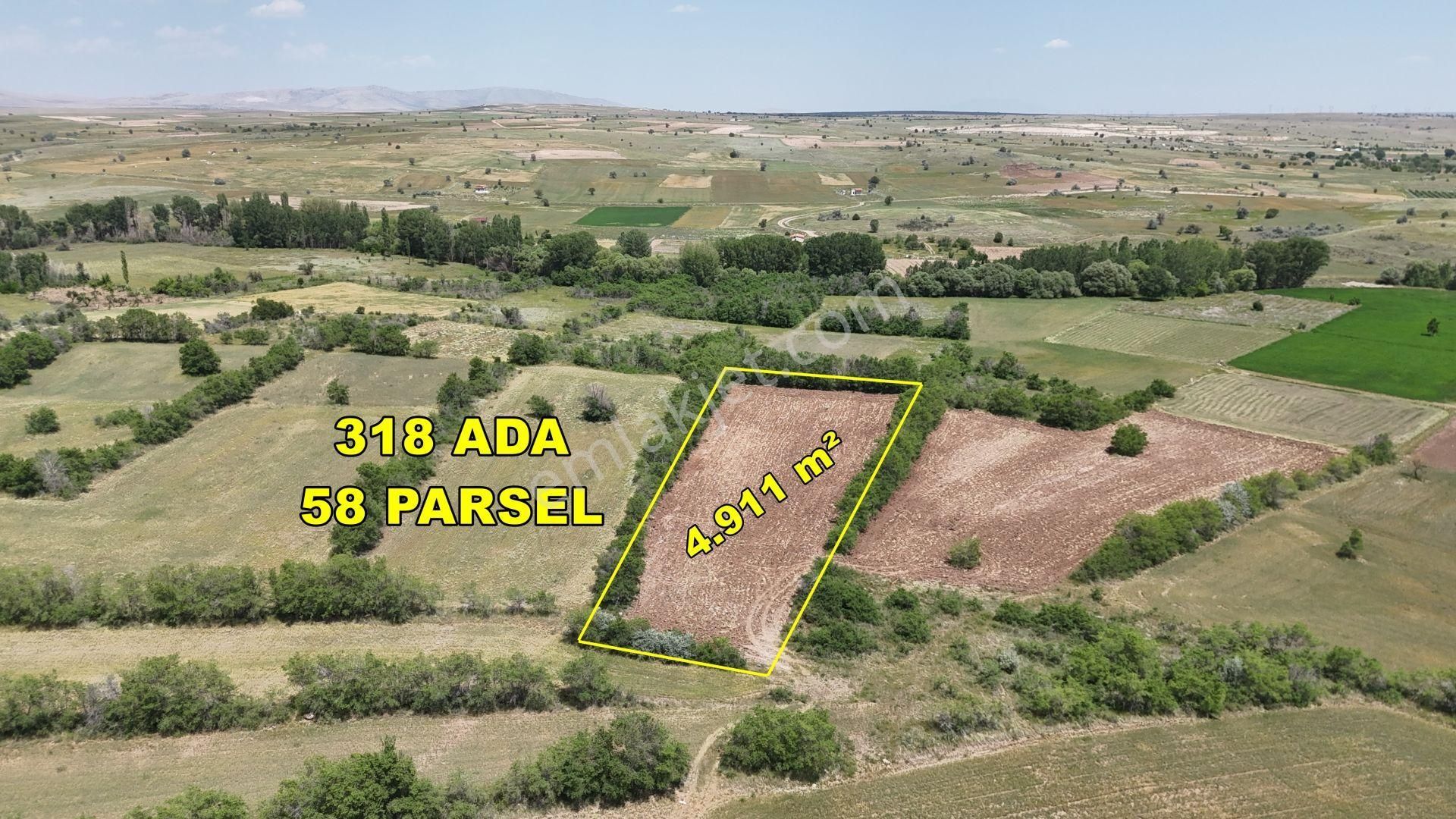 Yeşillikler İçinde Dere Yakını Müstakil 4.911 M² Tarla - Görsel 4
