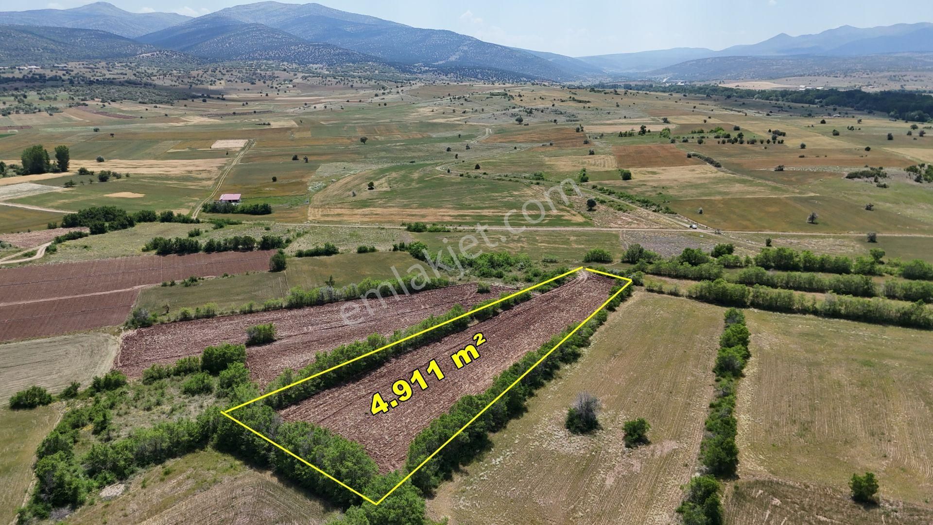 Yeşillikler İçinde Dere Yakını Müstakil 4.911 M² Tarla - Görsel 7
