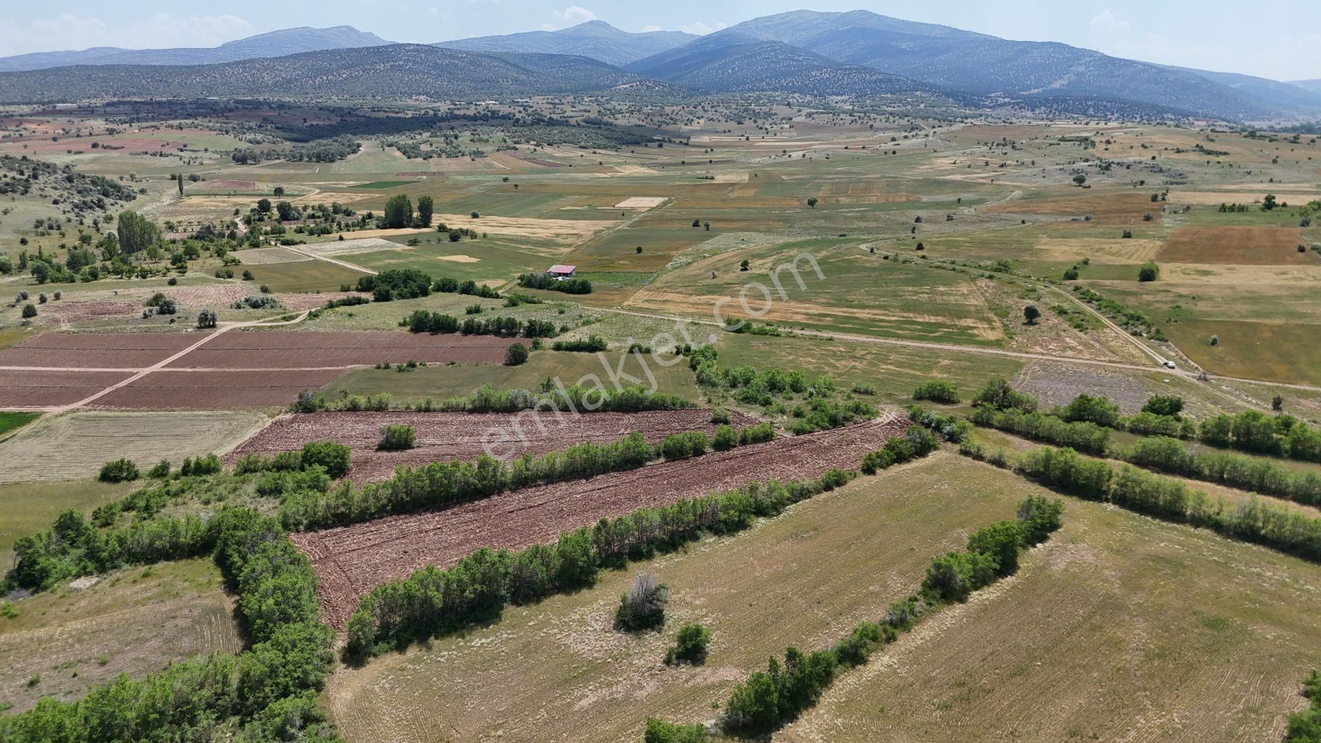 Yeşillikler İçinde Dere Yakını Müstakil 4.911 M² Tarla - Görsel 5