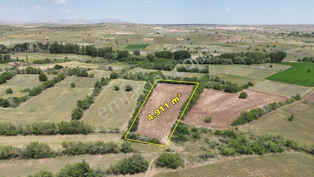 Yeşillikler İçinde Dere Yakını Müstakil 4.911 M² Tarla - Görsel 2