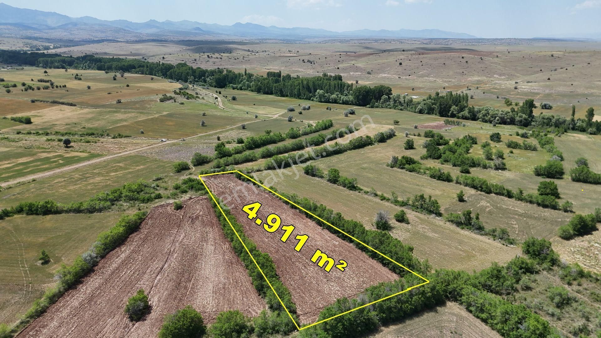 Yeşillikler İçinde Dere Yakını Müstakil 4.911 M² Tarla - Görsel 3