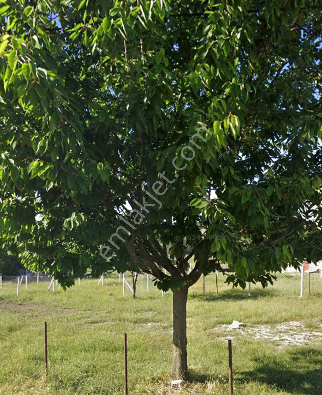 Sahibinden İfrazli - Görsel 4