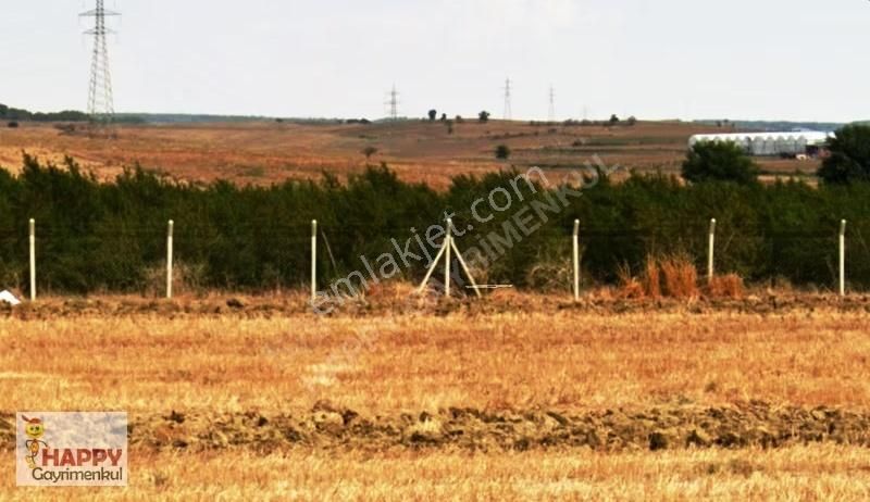Sarıçam Hocallı Satılık Tek Tapu Tarla-etrafı Çevrili-yola Cephe - Görsel 4
