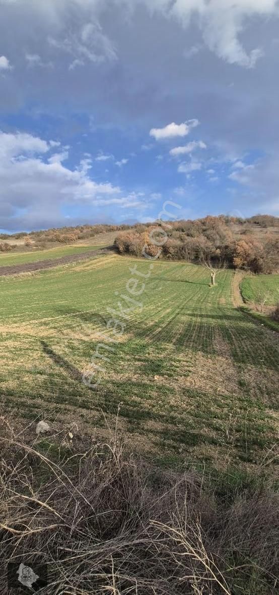 Oruç Gayrimenkulden Kulacada Yatırımlık 4 Dönüm Tarla - Görsel 3