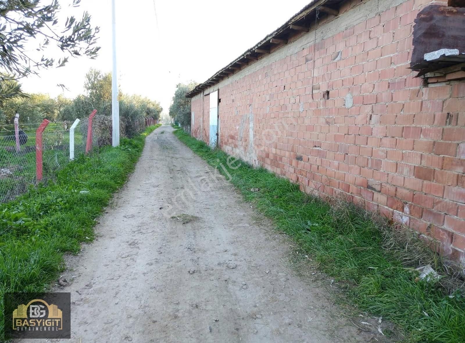 Seyit Ahmet Mh. Elektrik,su,ev, Olan,4840 M2. Satılık Besihane - Görsel 7