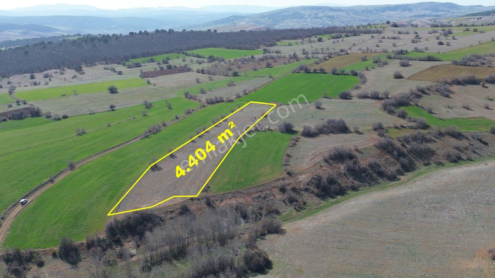 Konya / Ilgın / Belekler Mahallesinde 4.404 M² Müstakil Tapulu Tarla - Görsel 5