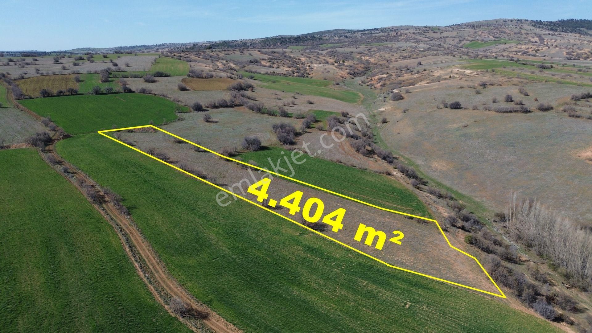 Konya / Ilgın / Belekler Mahallesinde 4.404 M² Müstakil Tapulu Tarla - Görsel 4