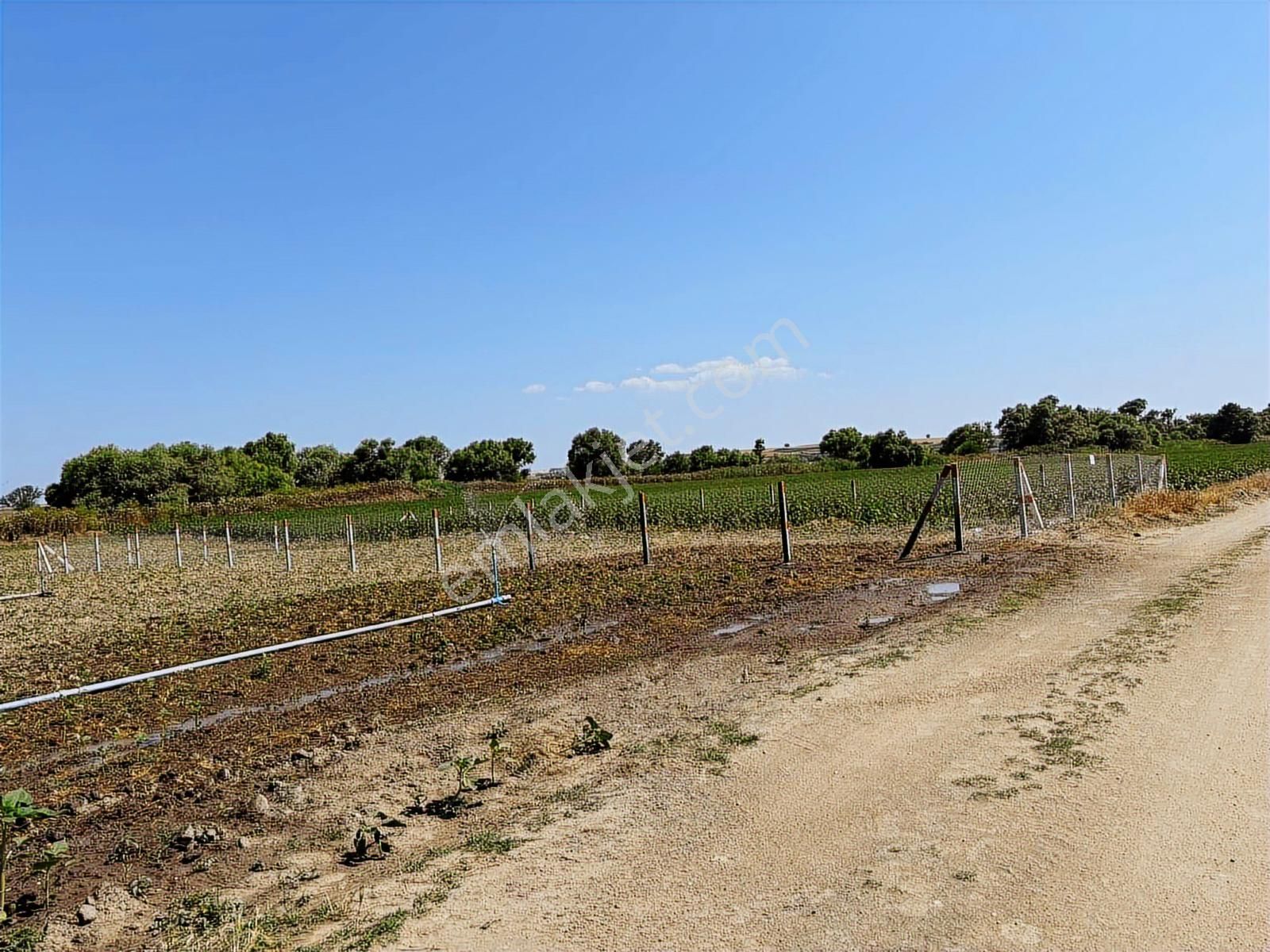 Tekirdağ Kapaklı Karlı Mahallesi - Görsel 6