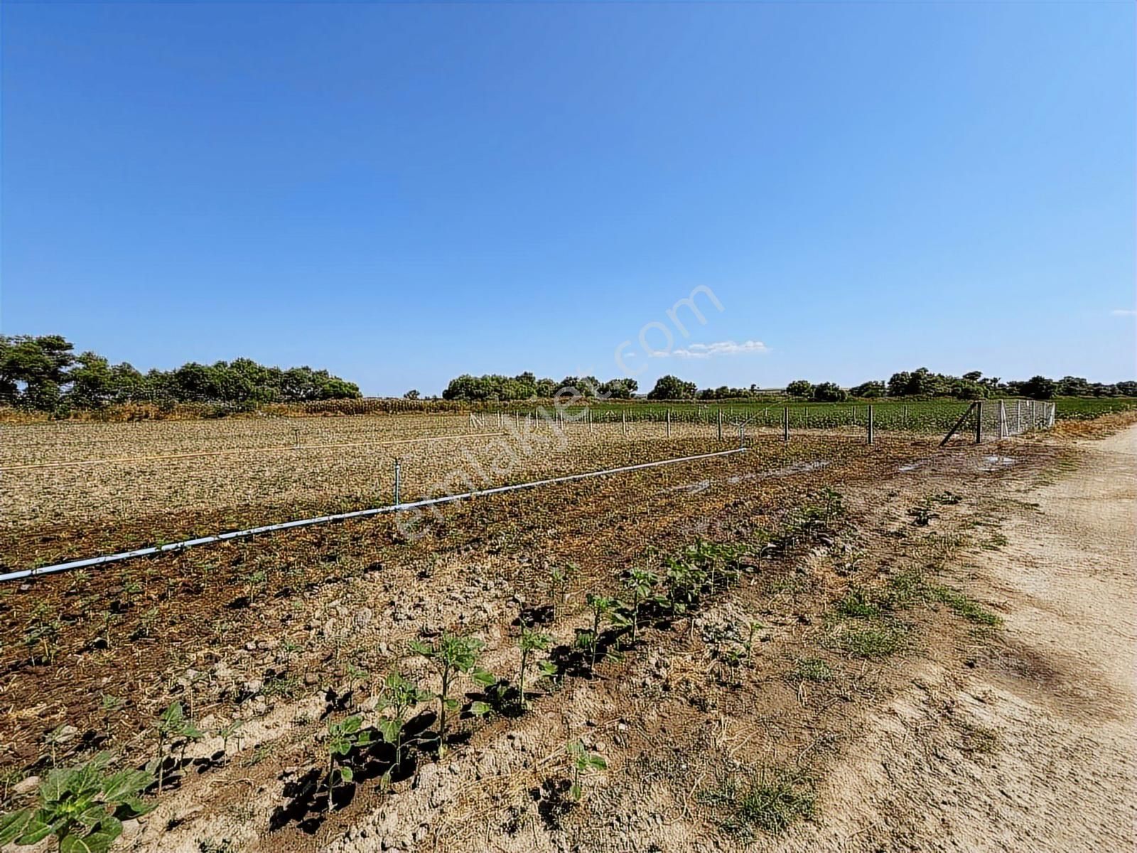 Tekirdağ Kapaklı Karlı Mahallesi - Görsel 2