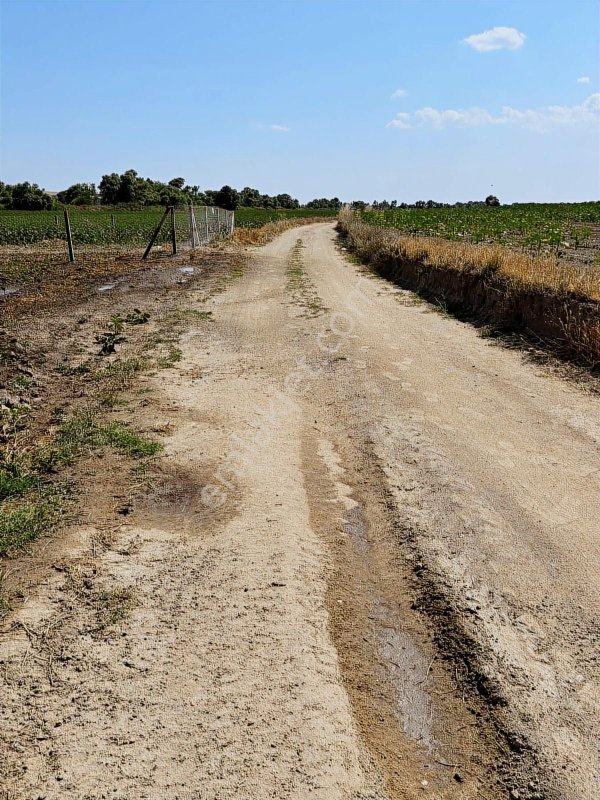 Tekirdağ Kapaklı Karlı Mahallesi - Görsel 12