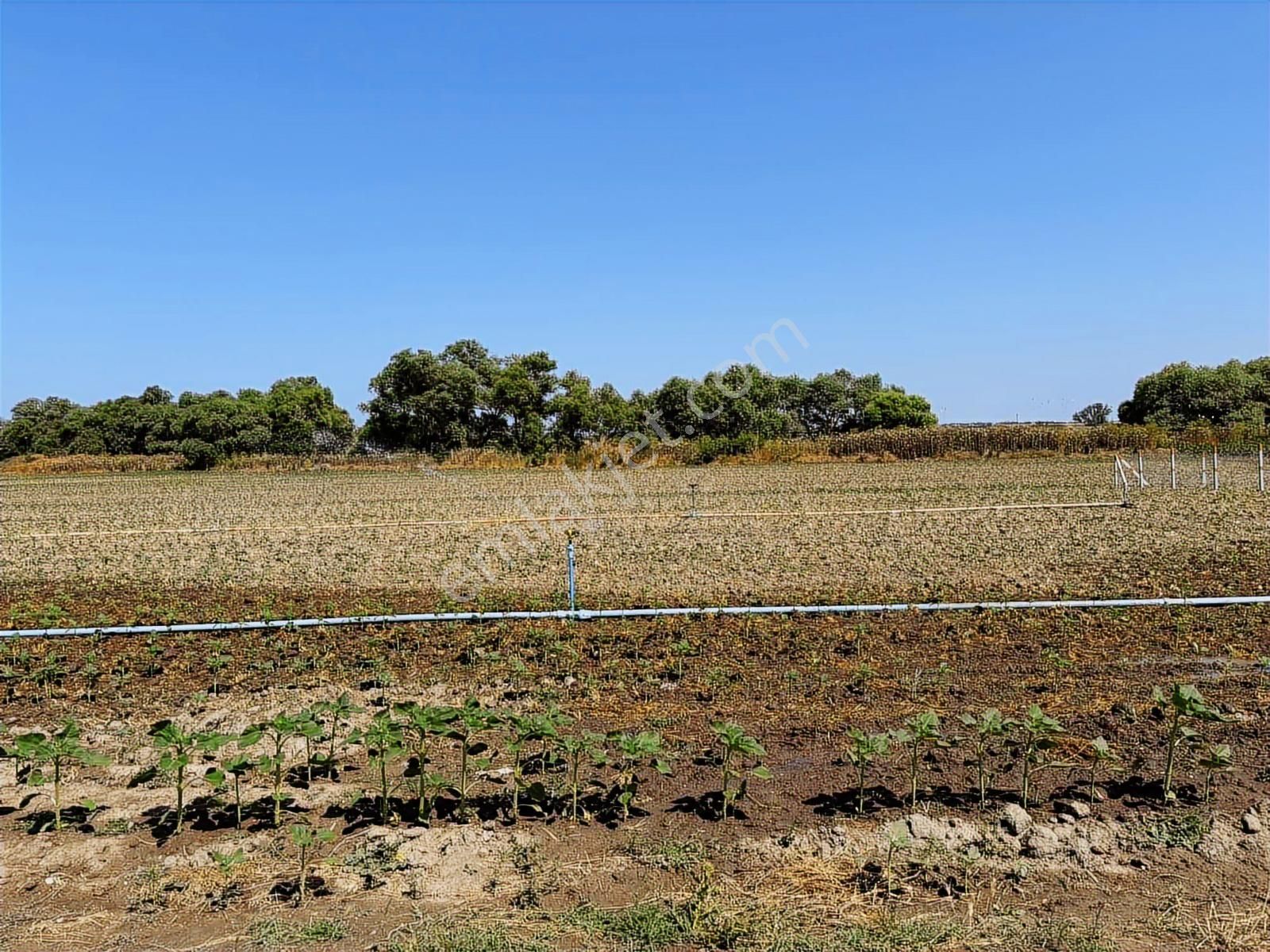 Tekirdağ Kapaklı Karlı Mahallesi - Görsel 9