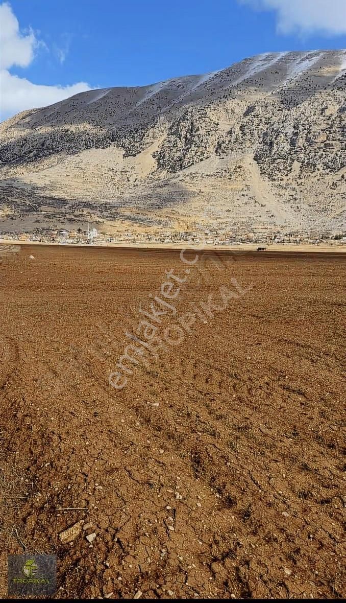 Antalya Korkuteli İmecik Mahallesi Bulunan 2.734 M2 Satılıktır.