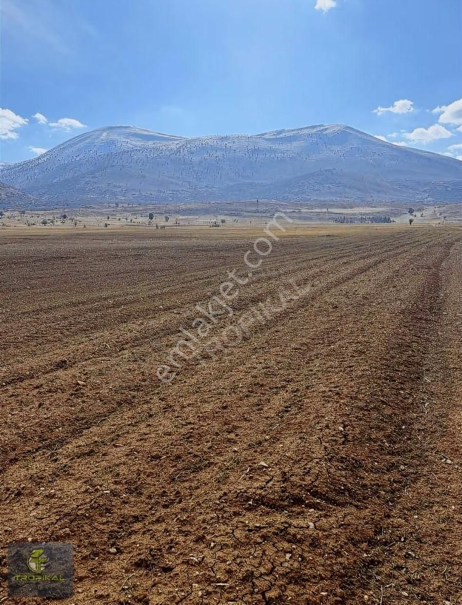 Antalya Korkuteli İmecik Mahallesi Bulunan 2.734 M2 Satılıktır. - Görsel 2