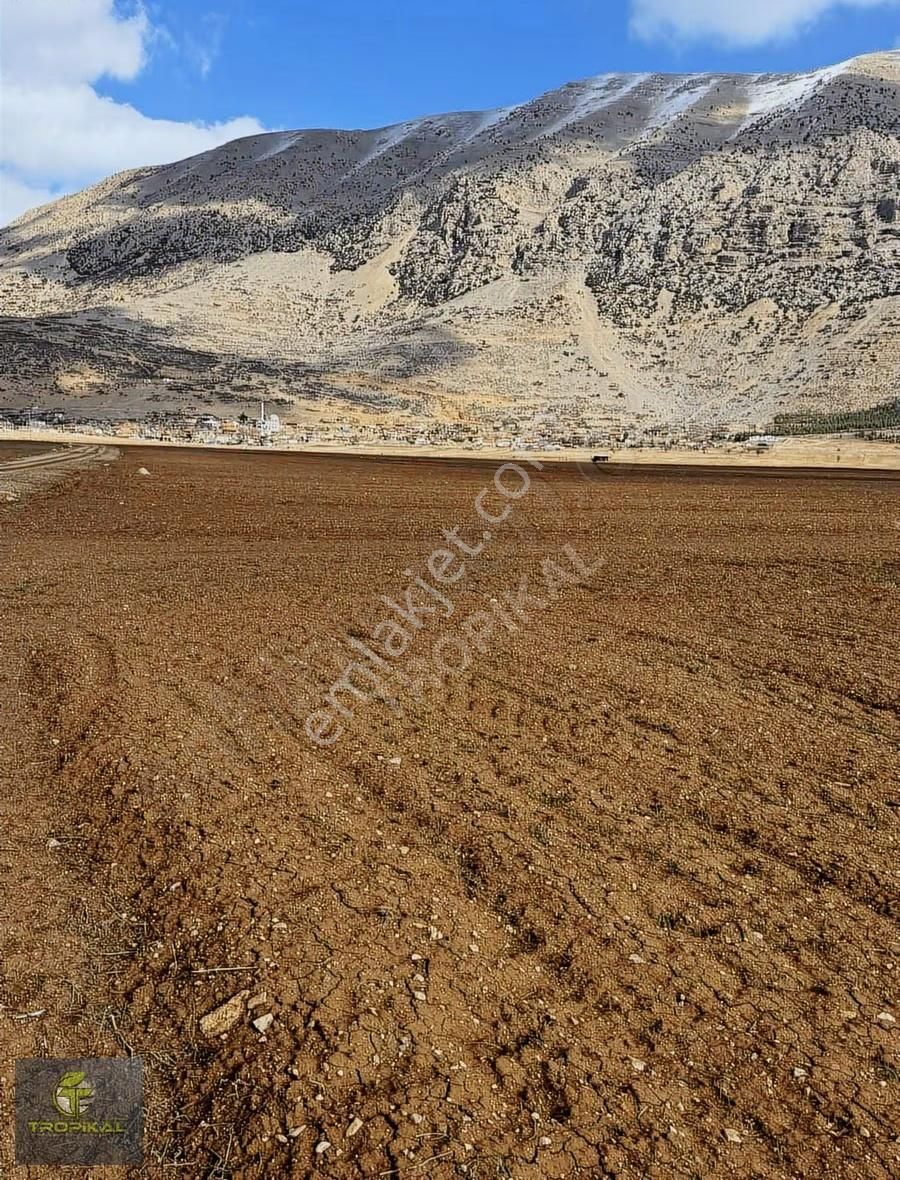 Antalya Korkuteli İmecik Mahallesi Bulunan 2.734 M2 Satılıktır. - Görsel 5