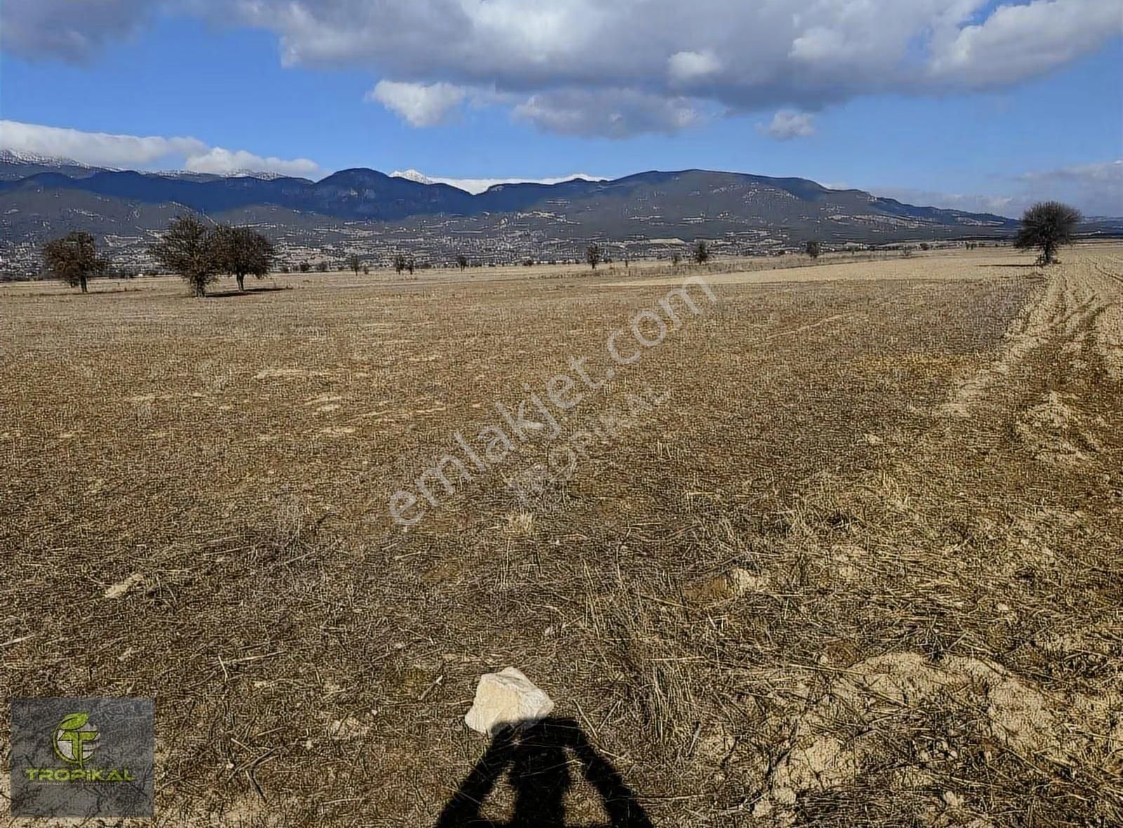 Burdur İli Bucak İlçesiürkütlü 3.467 M2 Tarla - Görsel 2