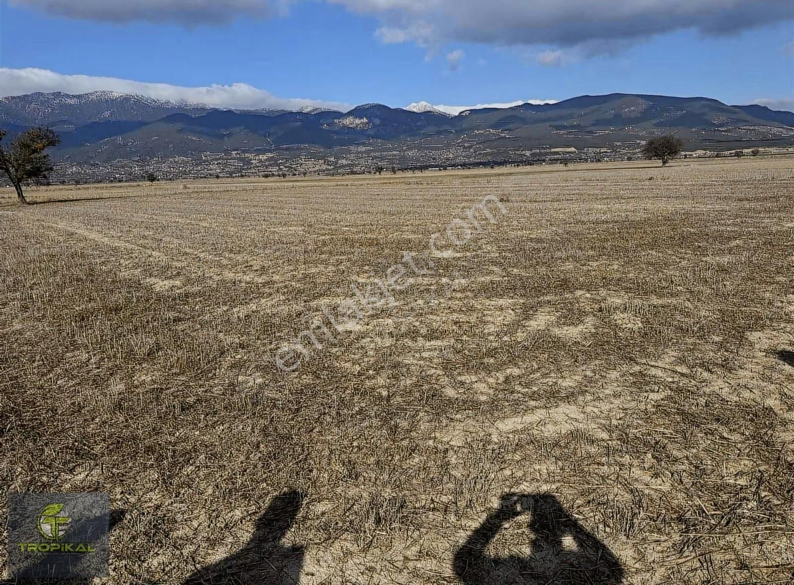 Burdur İli, Bucak İlçesi, Ürkütlü Mahallesi 2.956 M2 Tarla