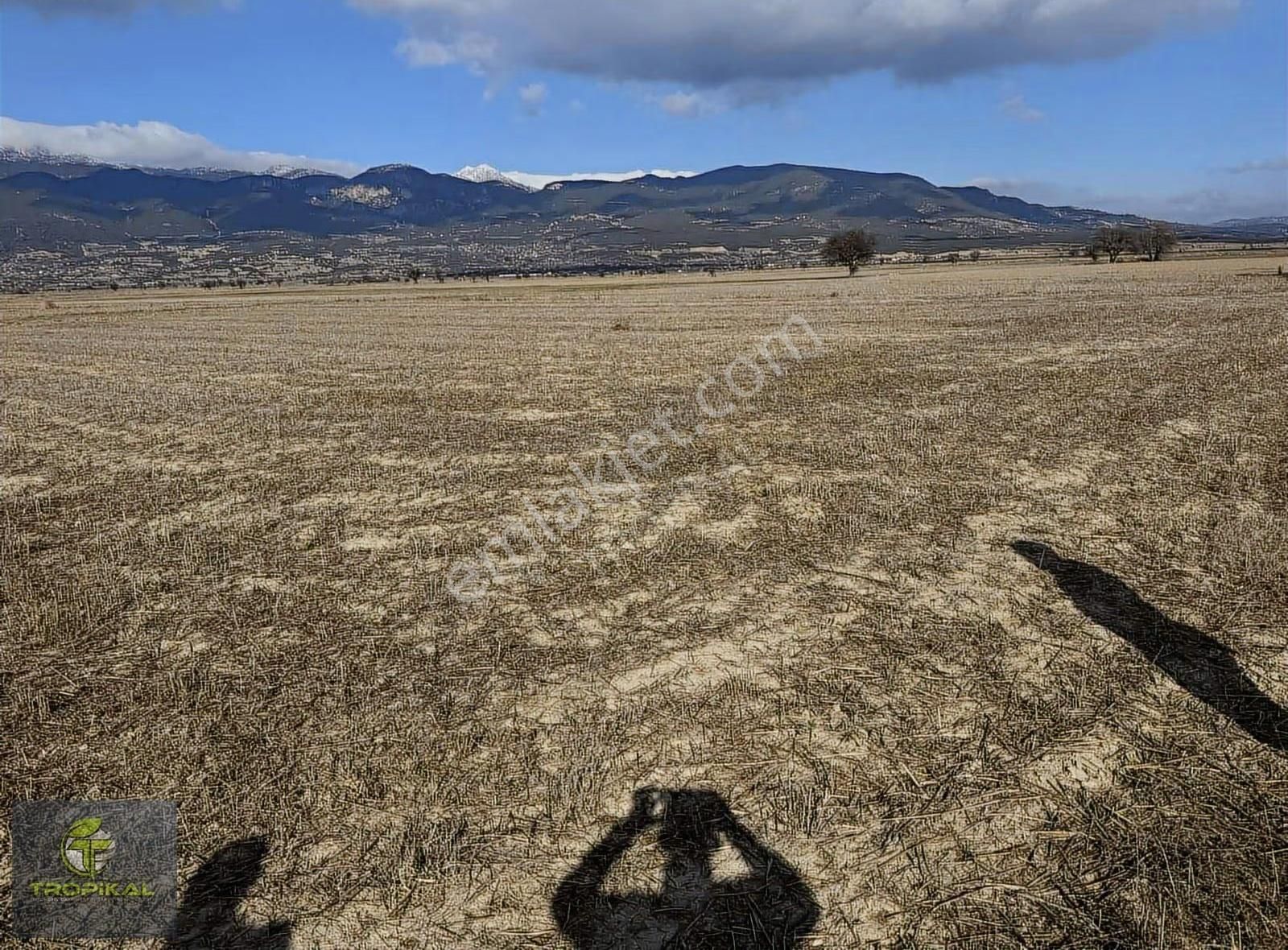 Burdur İli, Bucak İlçesi, Ürkütlü Mahallesi 2.956 M2 Tarla - Görsel 2