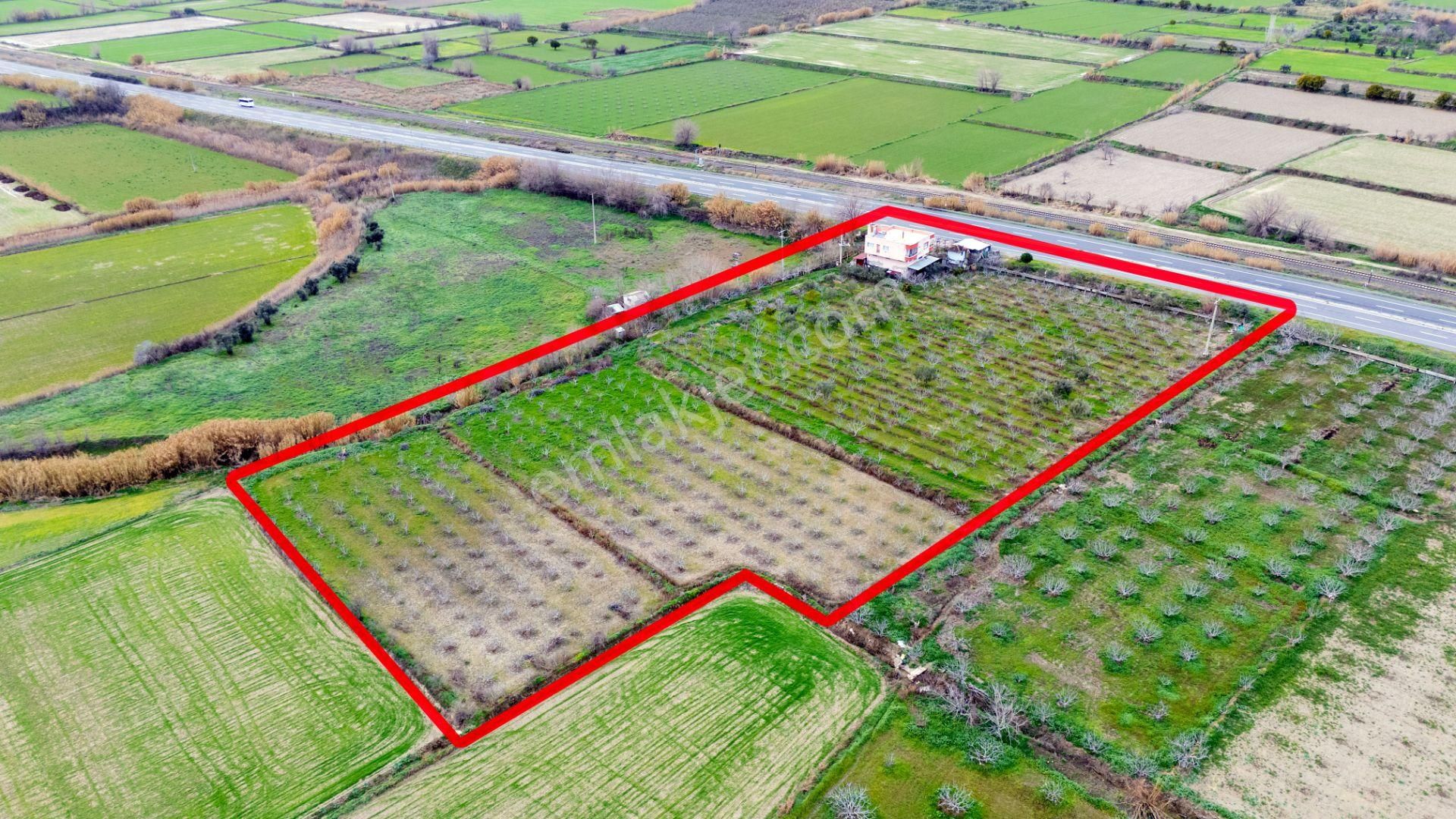 Horsunlu Mahallesi Devlet Kara Yolu Asfalt Üzerinde Satılık İncir Bahçesi Ve Ticaret Hane - Görsel 14