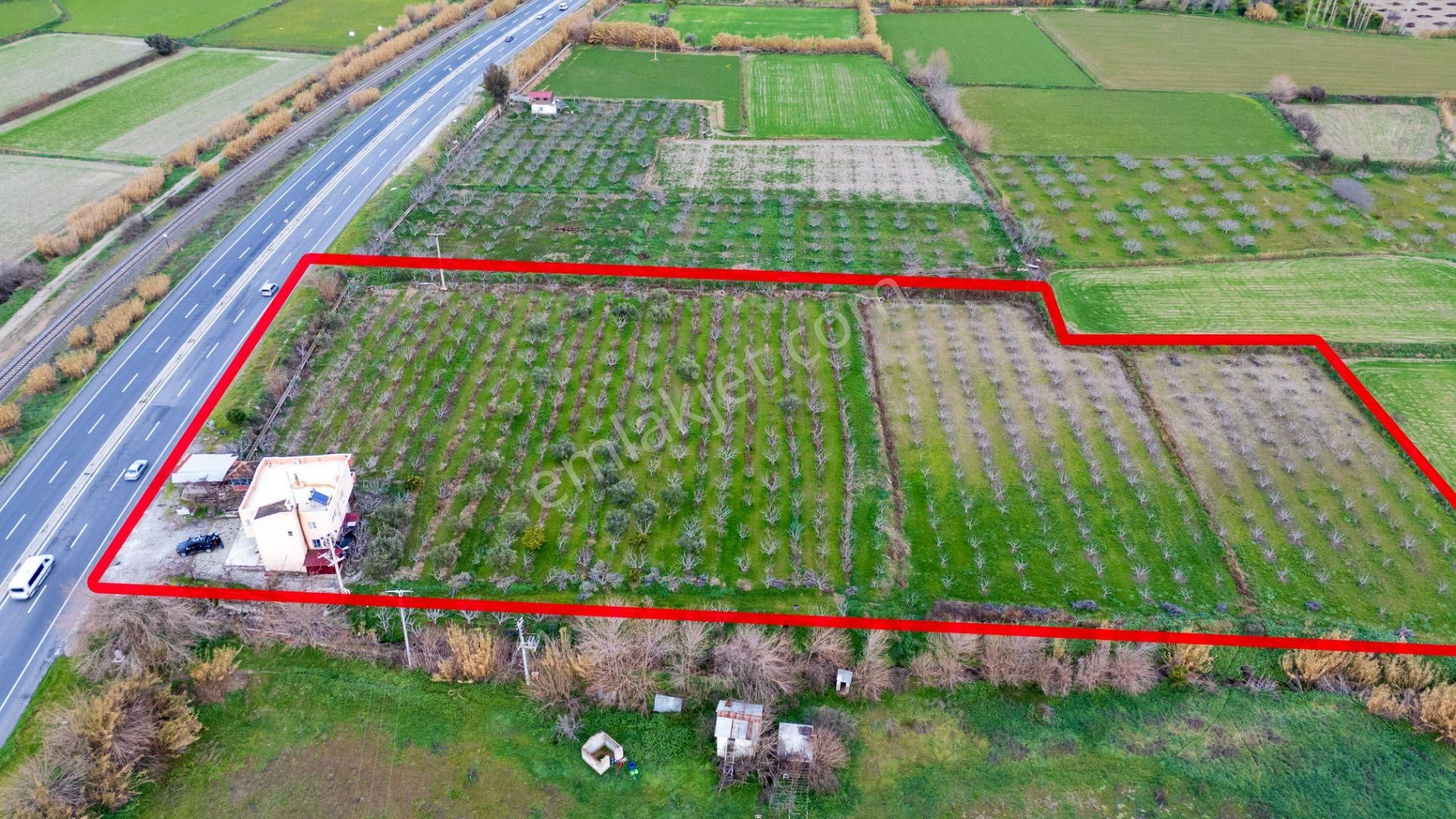 Horsunlu Mahallesi Devlet Kara Yolu Asfalt Üzerinde Satılık İncir Bahçesi Ve Ticaret Hane - Görsel 30