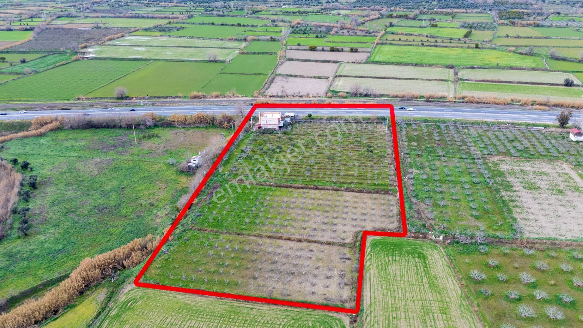 Horsunlu Mahallesi Devlet Kara Yolu Asfalt Üzerinde Satılık İncir Bahçesi Ve Ticaret Hane - Görsel 16